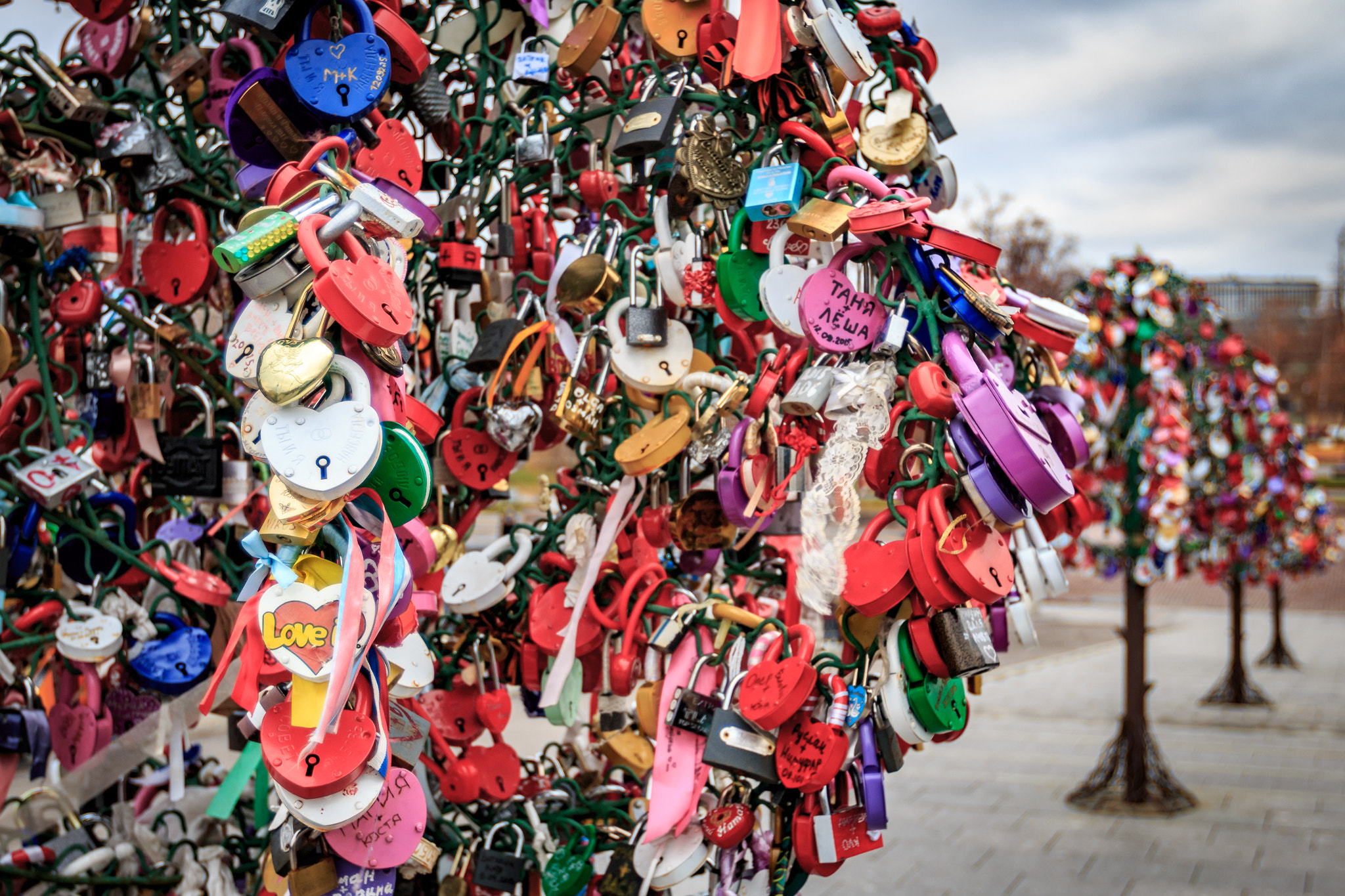 Canon EF 16-35mm F2.8L II USM sample photo. Lovers trees in moscow photography