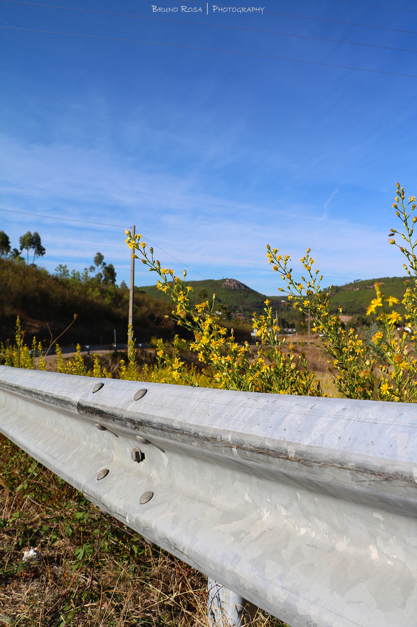 Canon EOS 760D (EOS Rebel T6s / EOS 8000D) sample photo. Roadside rails photography