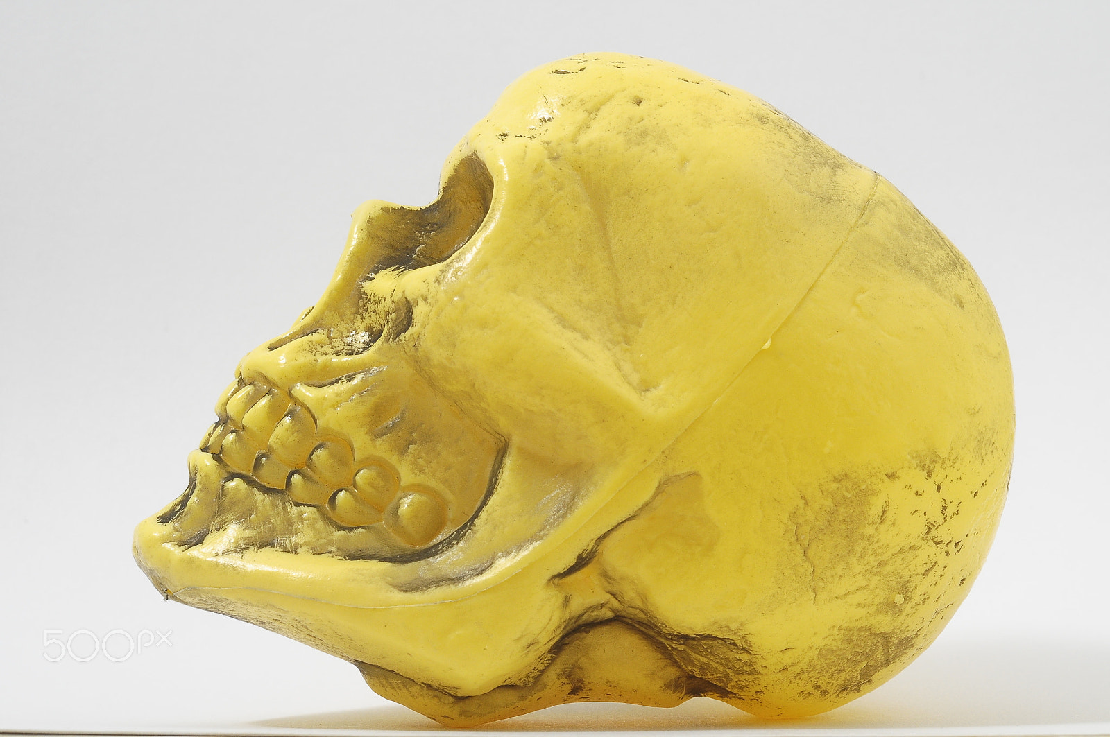 Nikon D300 sample photo. Yellow skull photography