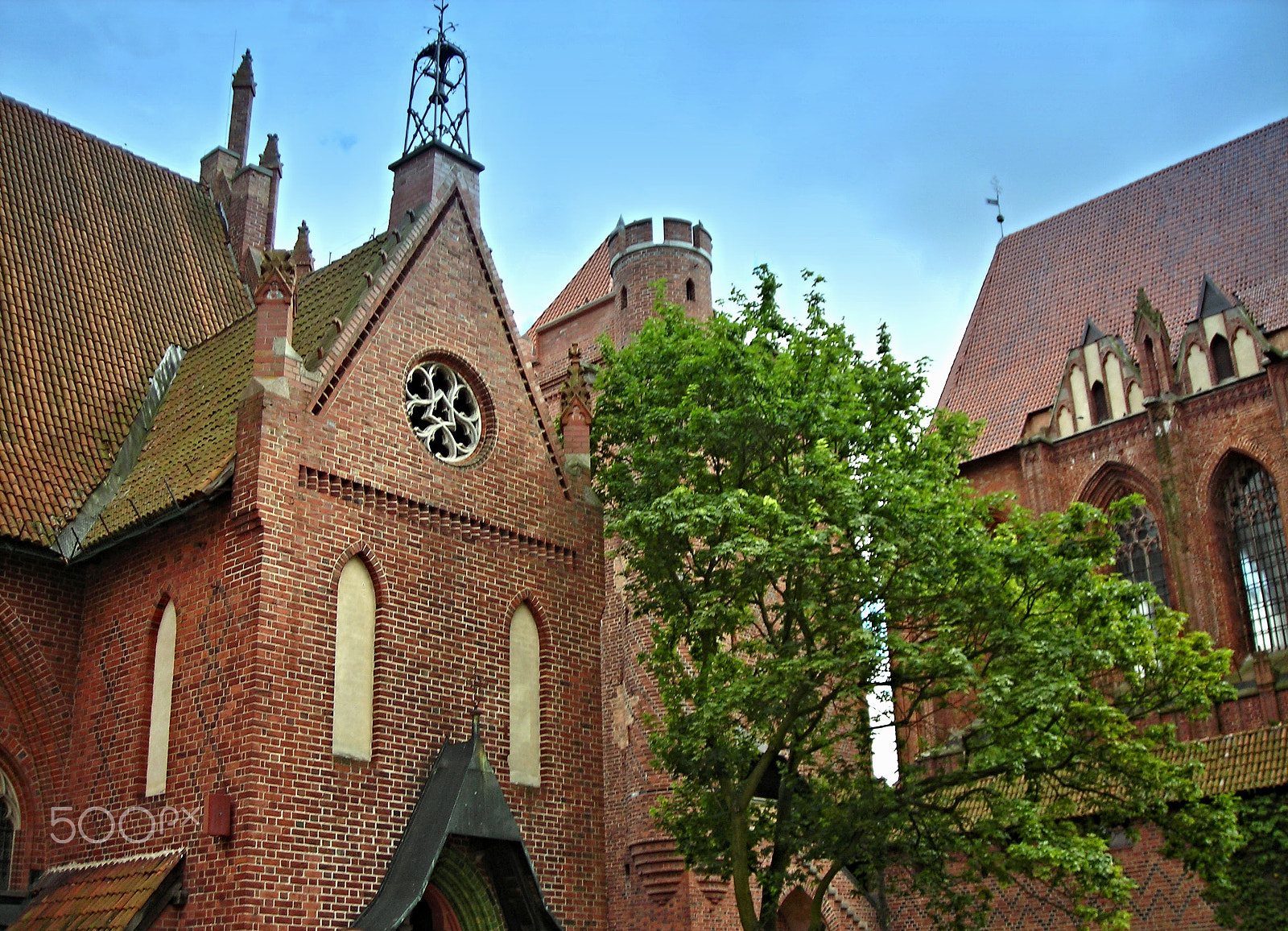 Nikon COOLPIX L3 sample photo. Castle malbork polen photography