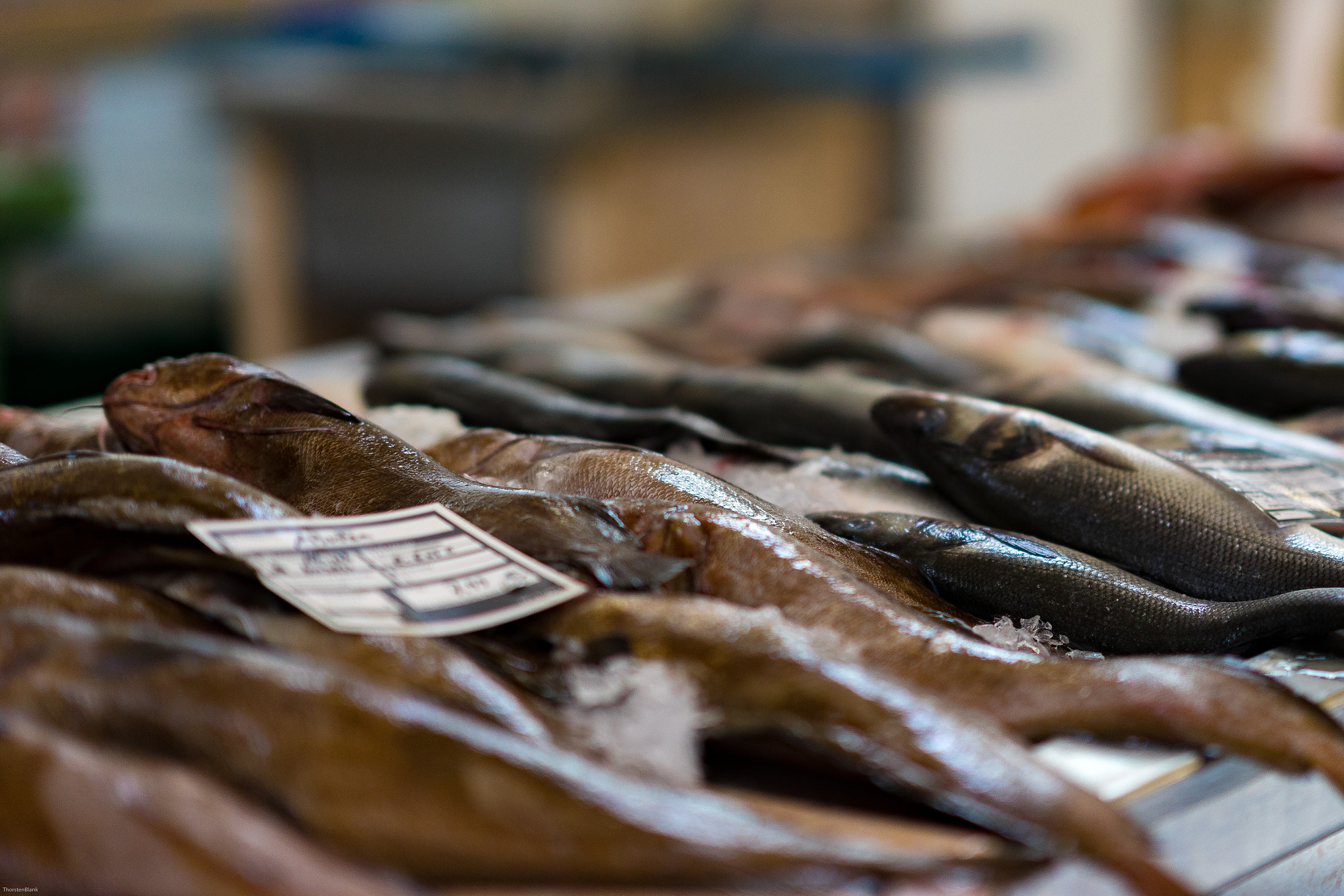 Sony FE 85mm F1.4 GM sample photo. Auf dem fischmarkt madeira photography