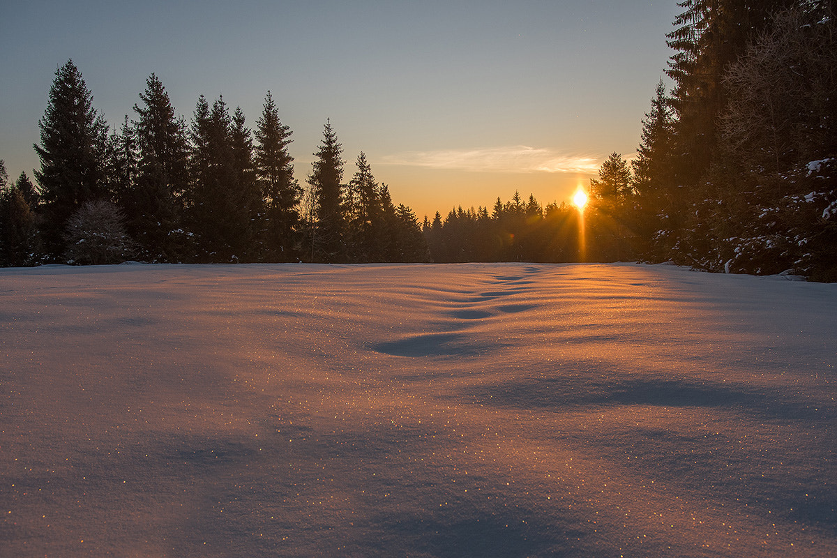 Nikon D500 + Sigma 18-35mm F1.8 DC HSM Art sample photo. Poland, orawa, frosty sunrise photography