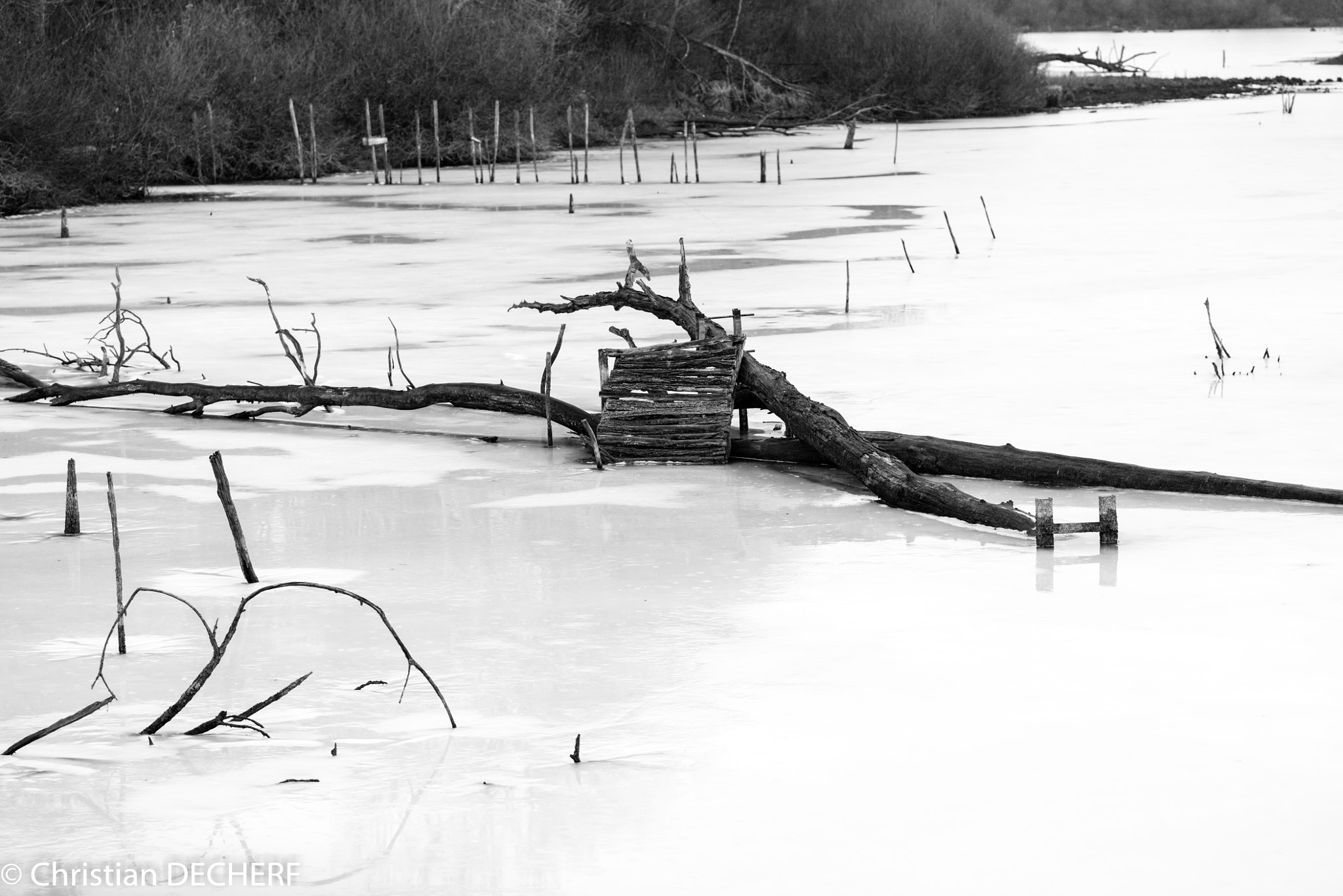 Canon EOS 5DS R sample photo. Pris dans la glace. photography