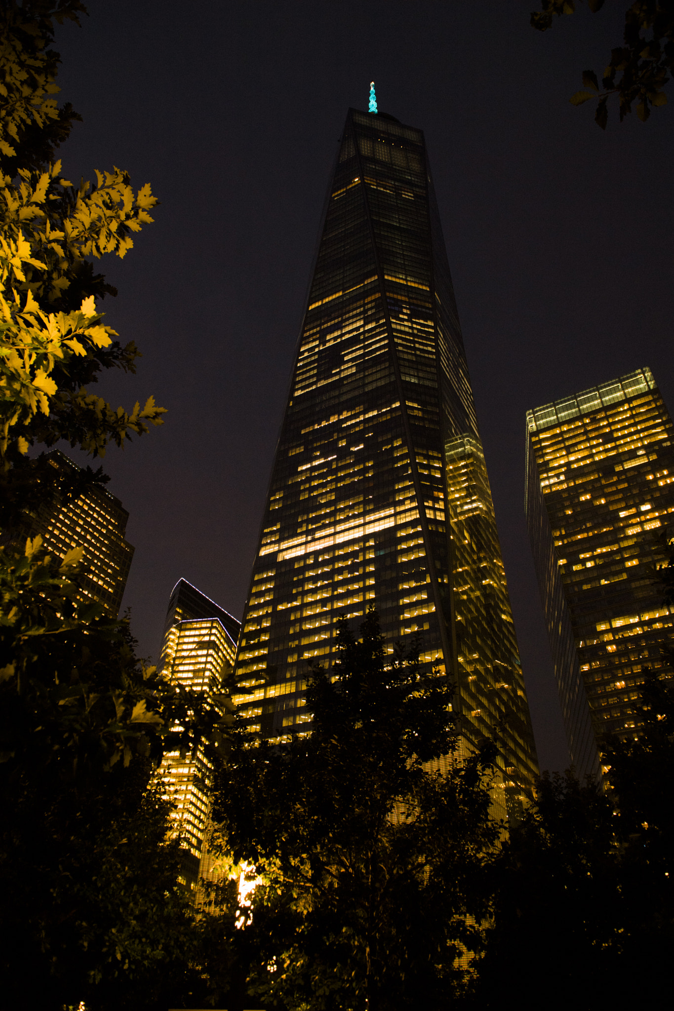 Nikon D5 sample photo. 20160921_0020.jpg photography