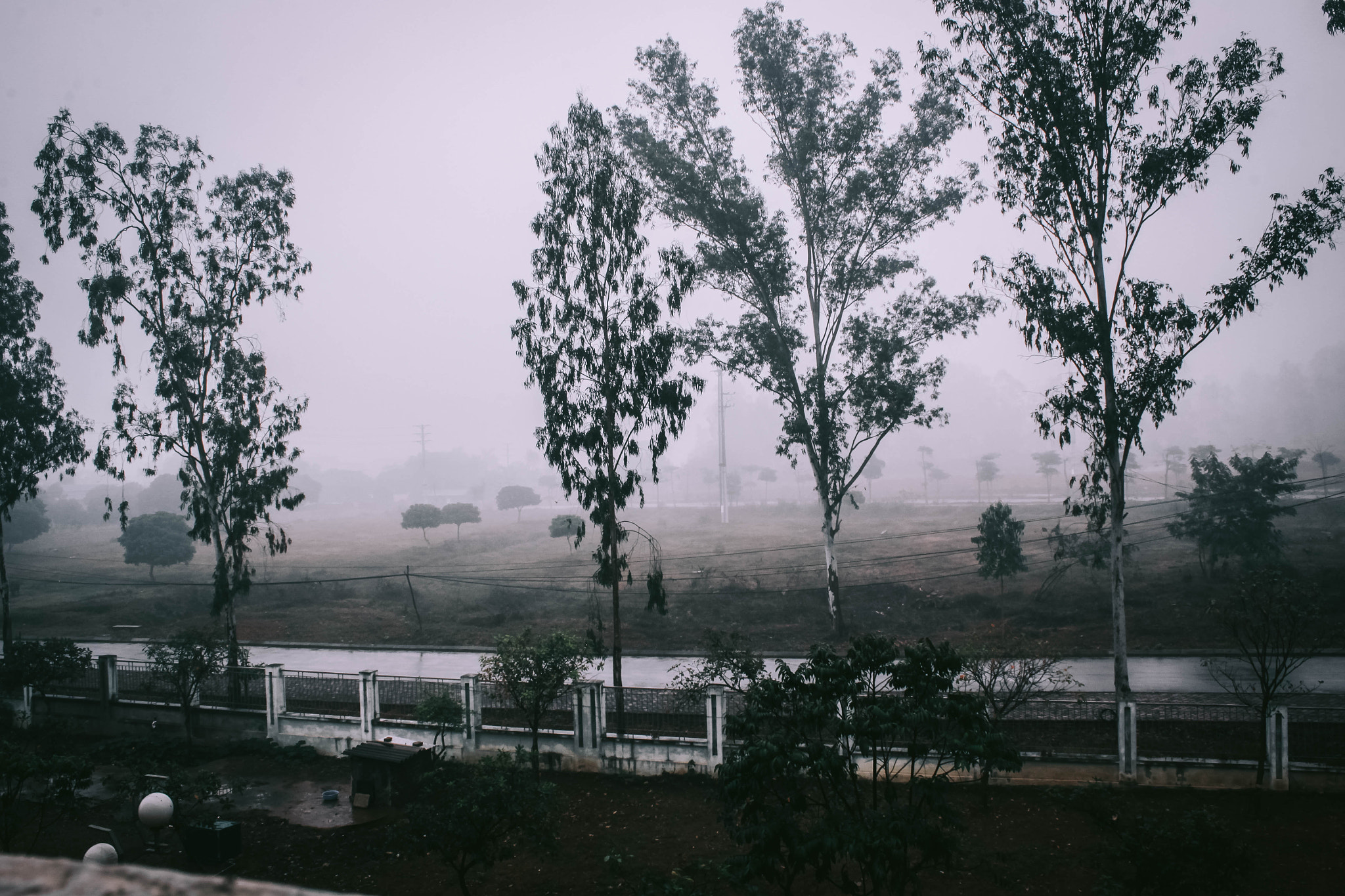 Canon EOS 50D + Canon EF-S 18-55mm F3.5-5.6 IS II sample photo. Morning fog photography
