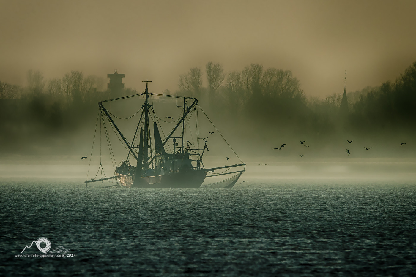 Canon EF 600mm F4L IS II USM sample photo. Elbfischer maritim photography