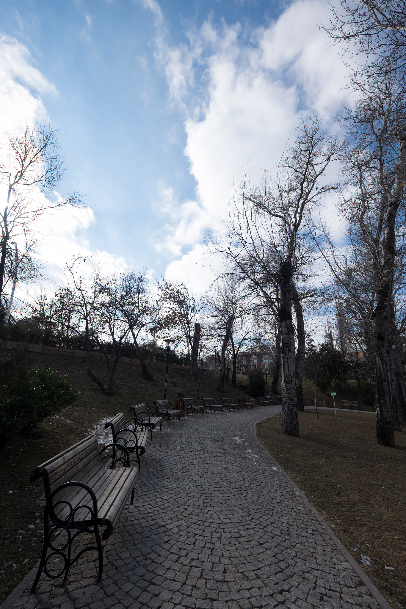 Fujifilm X-T10 + Fujifilm XF 10-24mm F4 R OIS sample photo. Lonely benches and trees photography