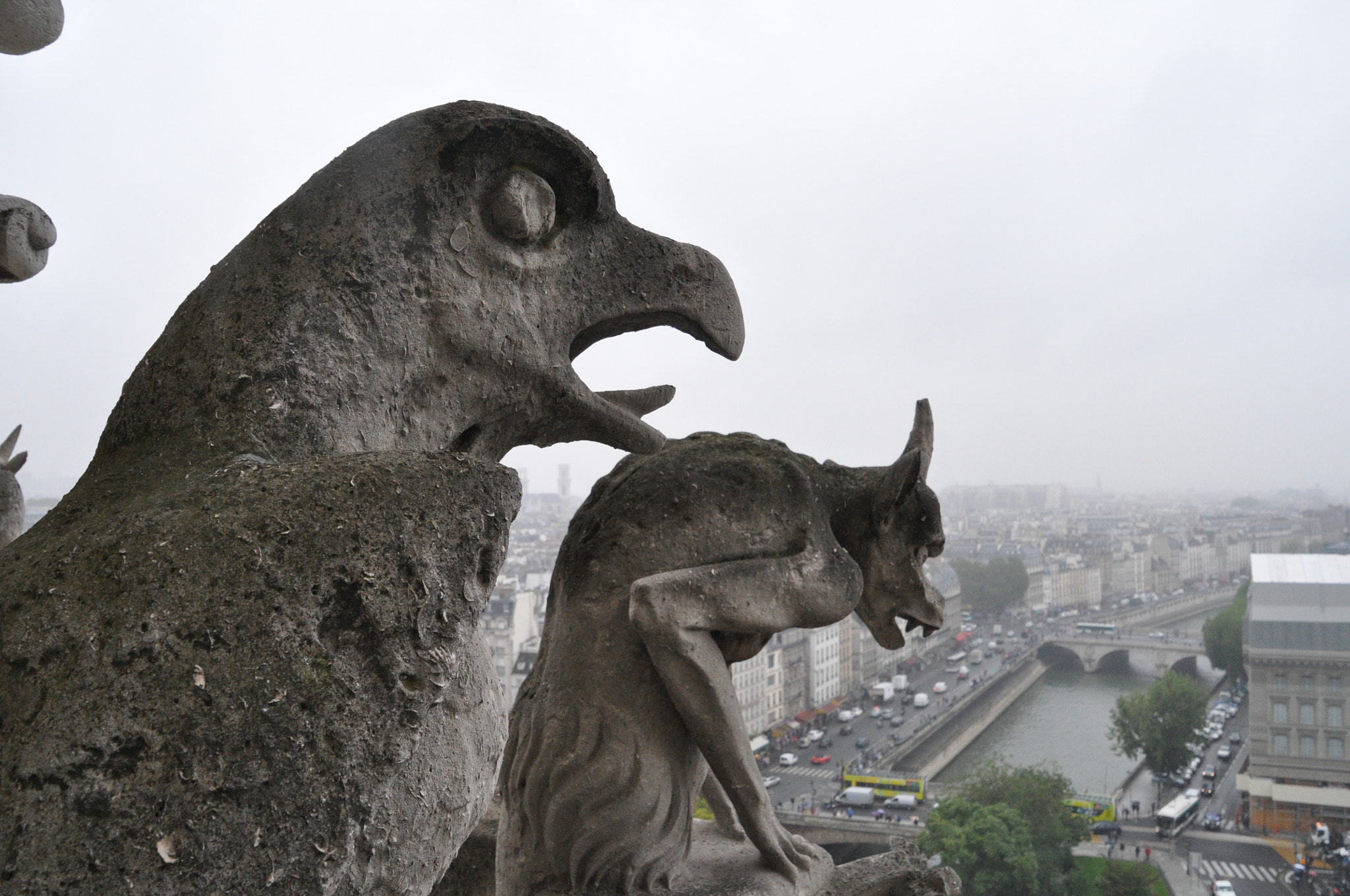 Nikon D5000 sample photo. Dominating the city photography