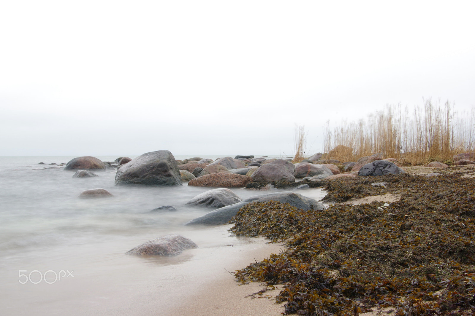 Pentax K-3 sample photo. Foggy photography