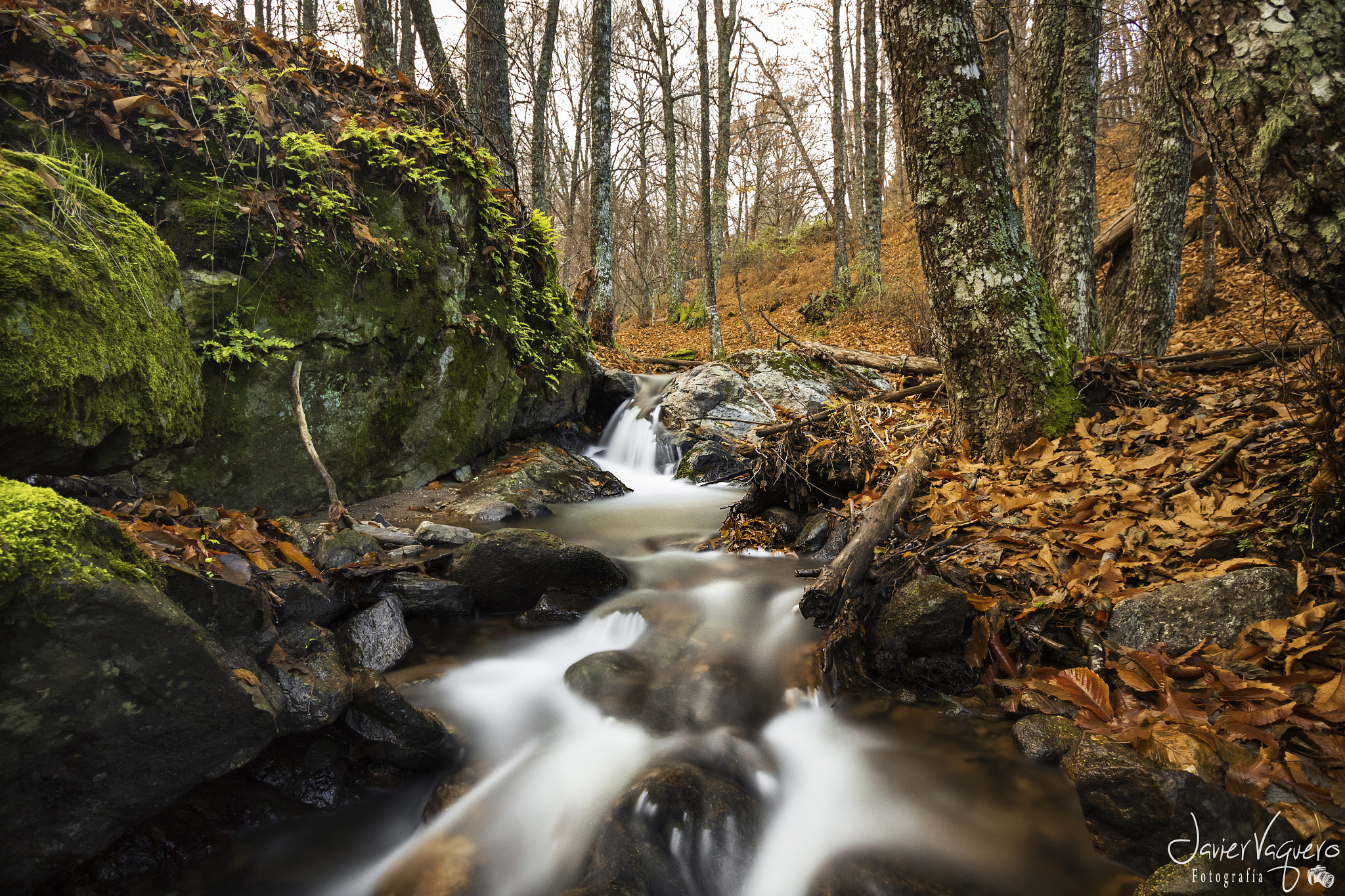 Canon EF-S 10-22mm F3.5-4.5 USM sample photo. Colores de otoño photography