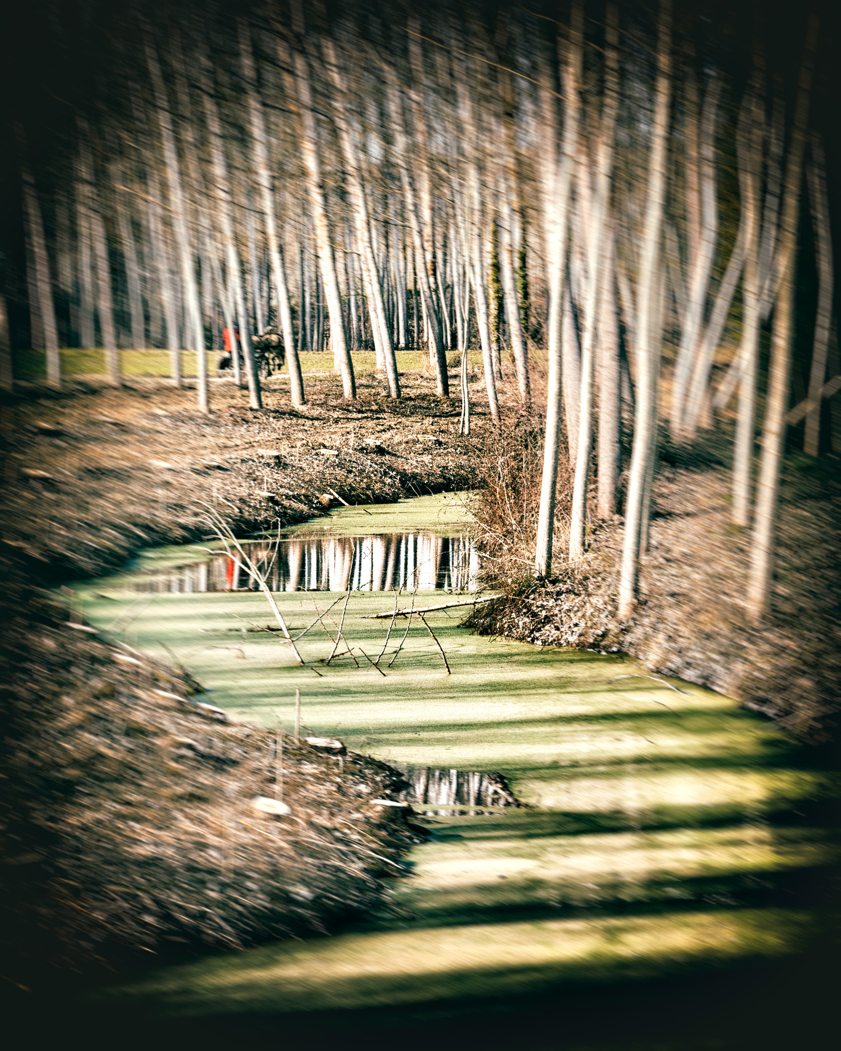 Panasonic Lumix G Vario 45-200mm F4-5.6 OIS sample photo. Green stream photography