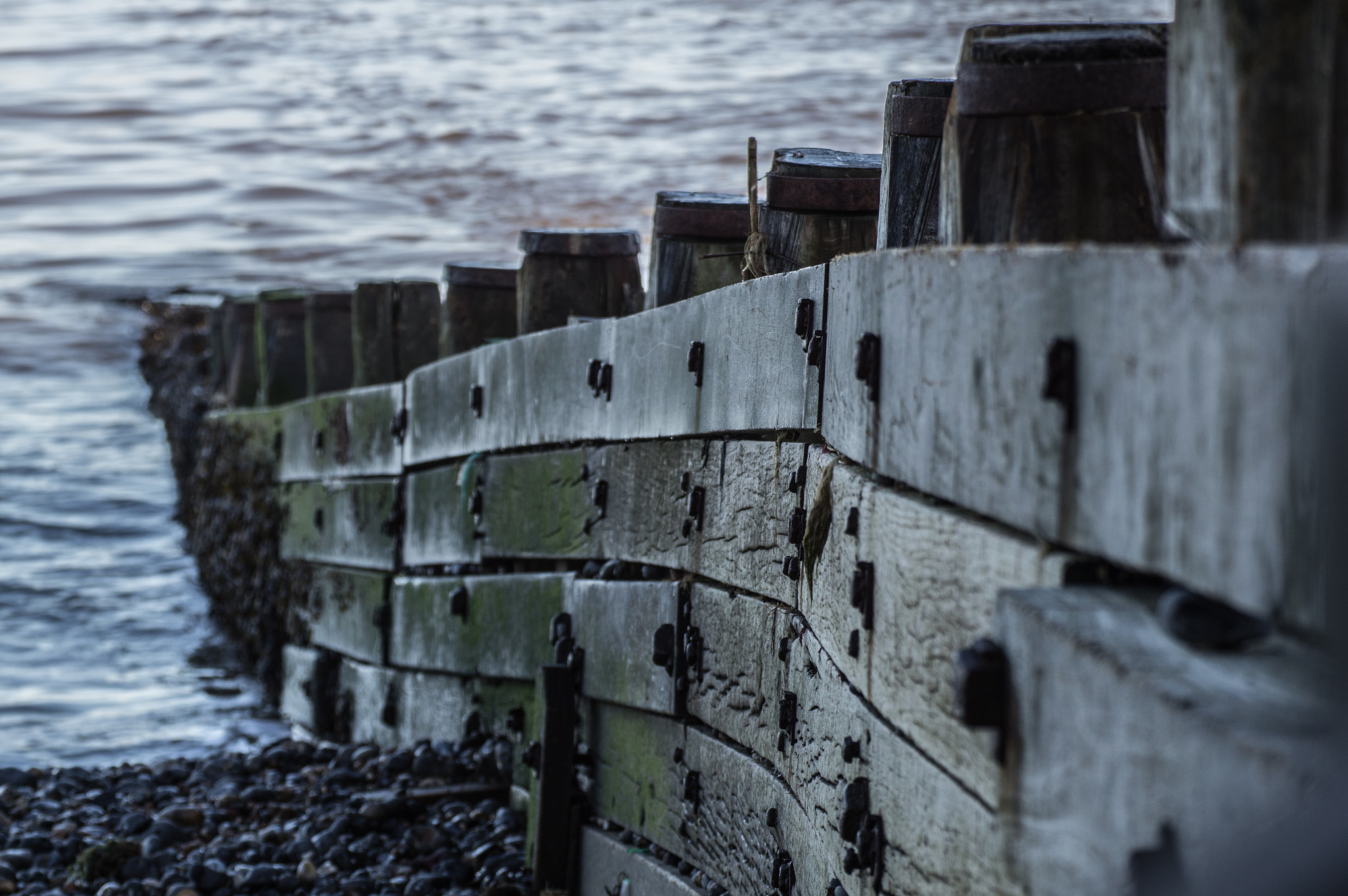 Sony Alpha NEX-5N sample photo. Wood in the water photography