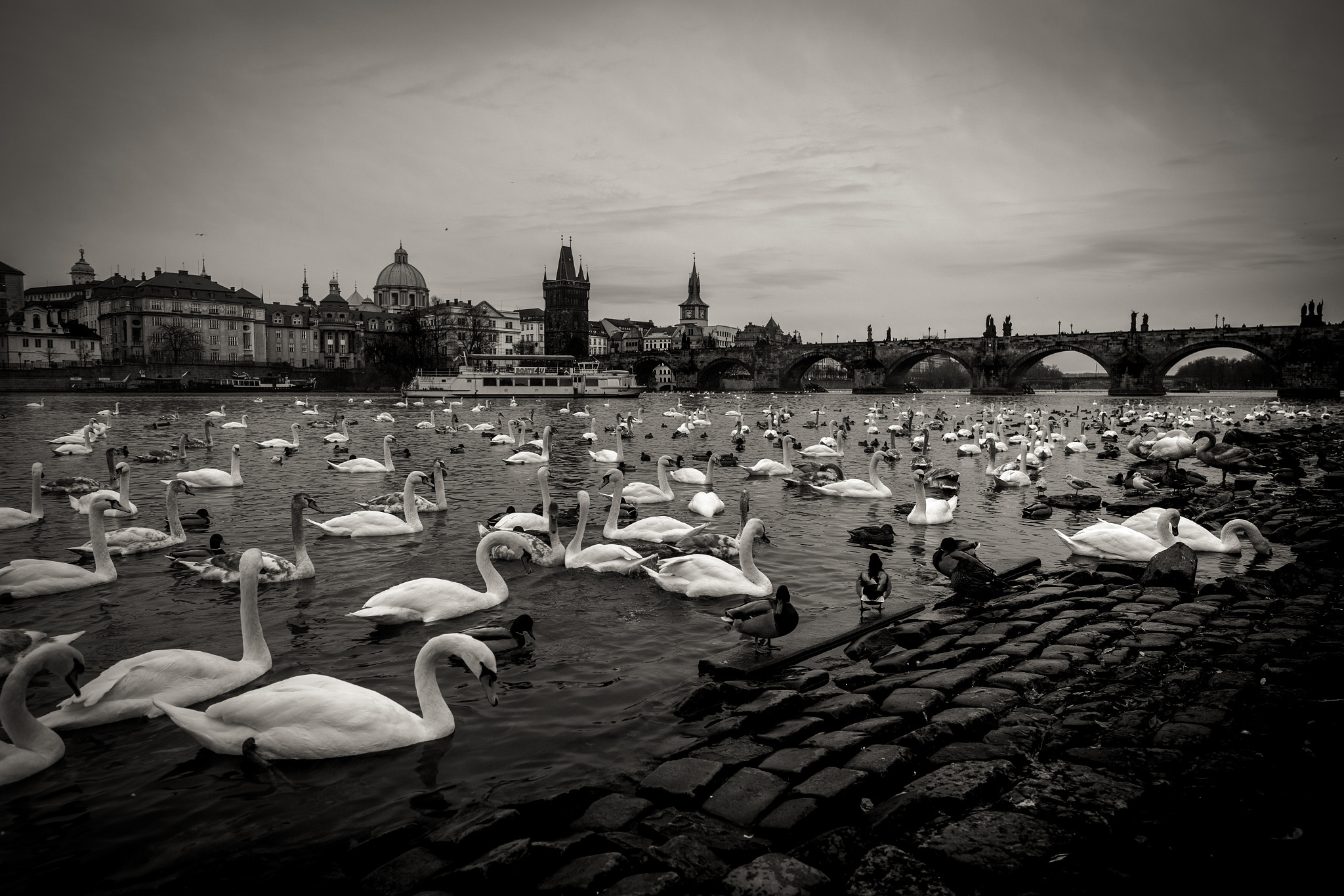 Canon EOS 6D + Canon EF 11-24mm F4L USM sample photo. Prague, cech republic photography