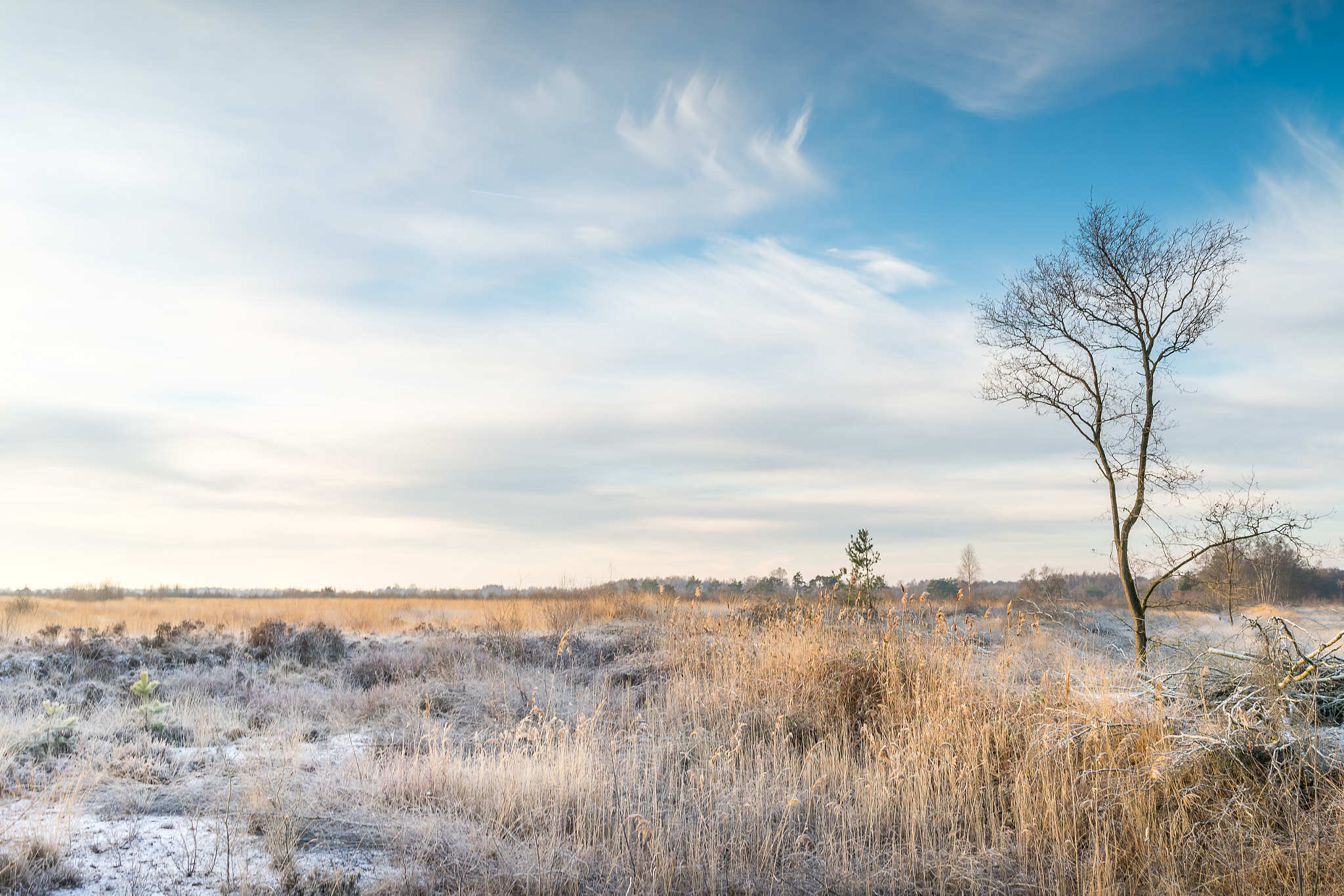 Sony a7 + Sony FE 28mm F2 sample photo. Cold morning at engbertsdijksvenen photography