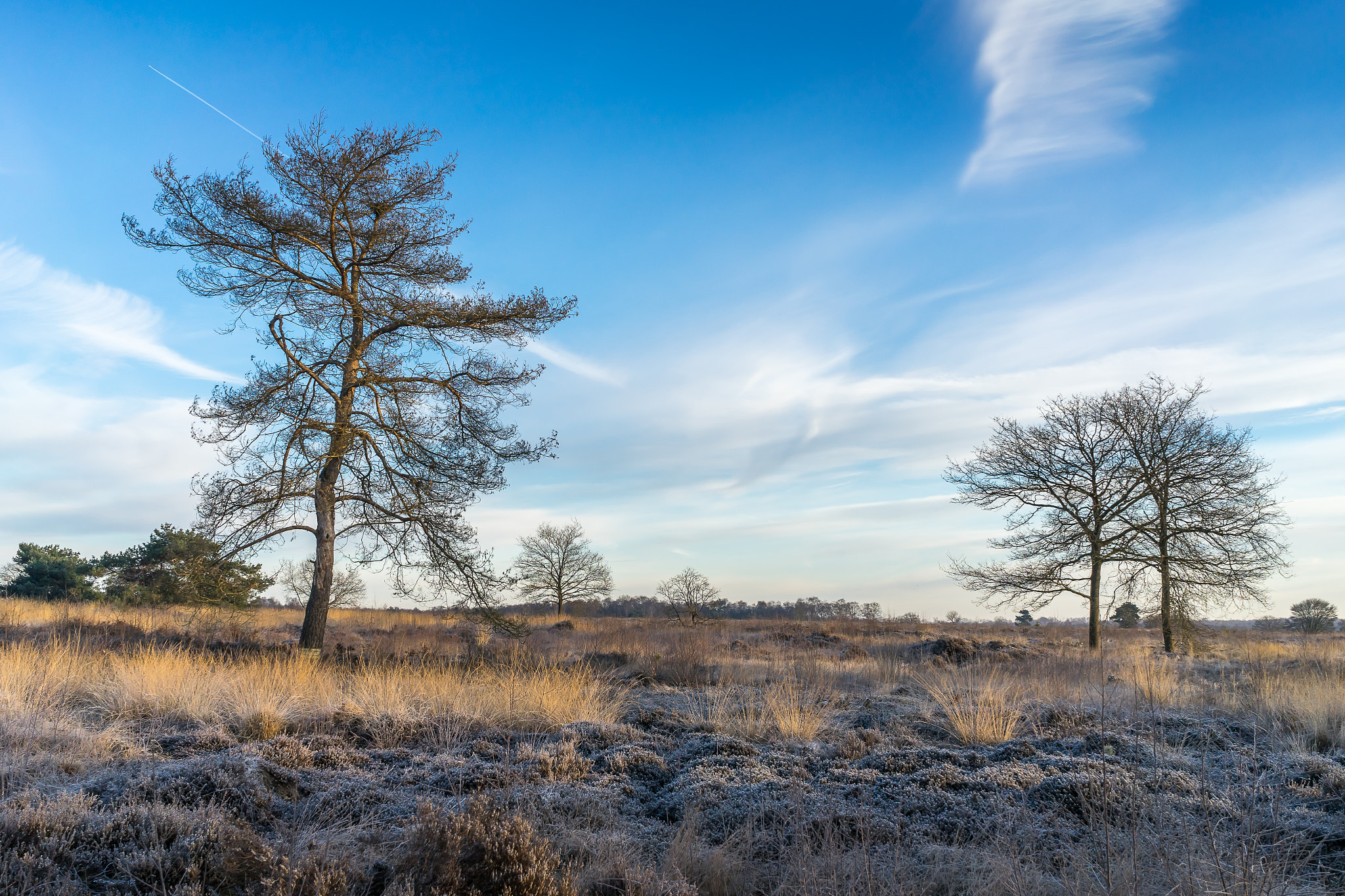 Sony a7 + Sony FE 28mm F2 sample photo. Cold morning at engbertsdijksvenen photography