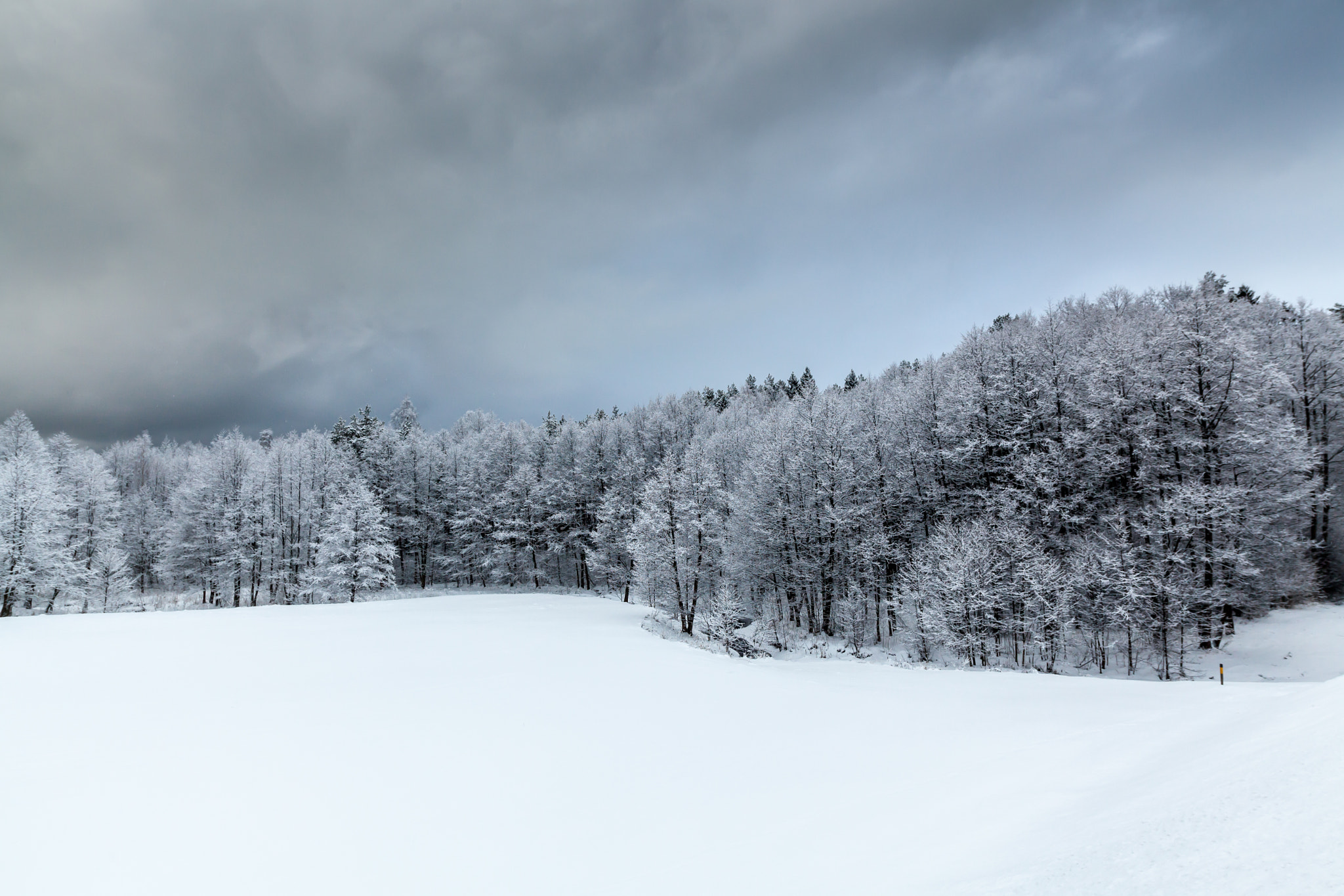 Canon EOS 5D Mark II + Sigma 20mm EX f/1.8 sample photo. Winter scene photography