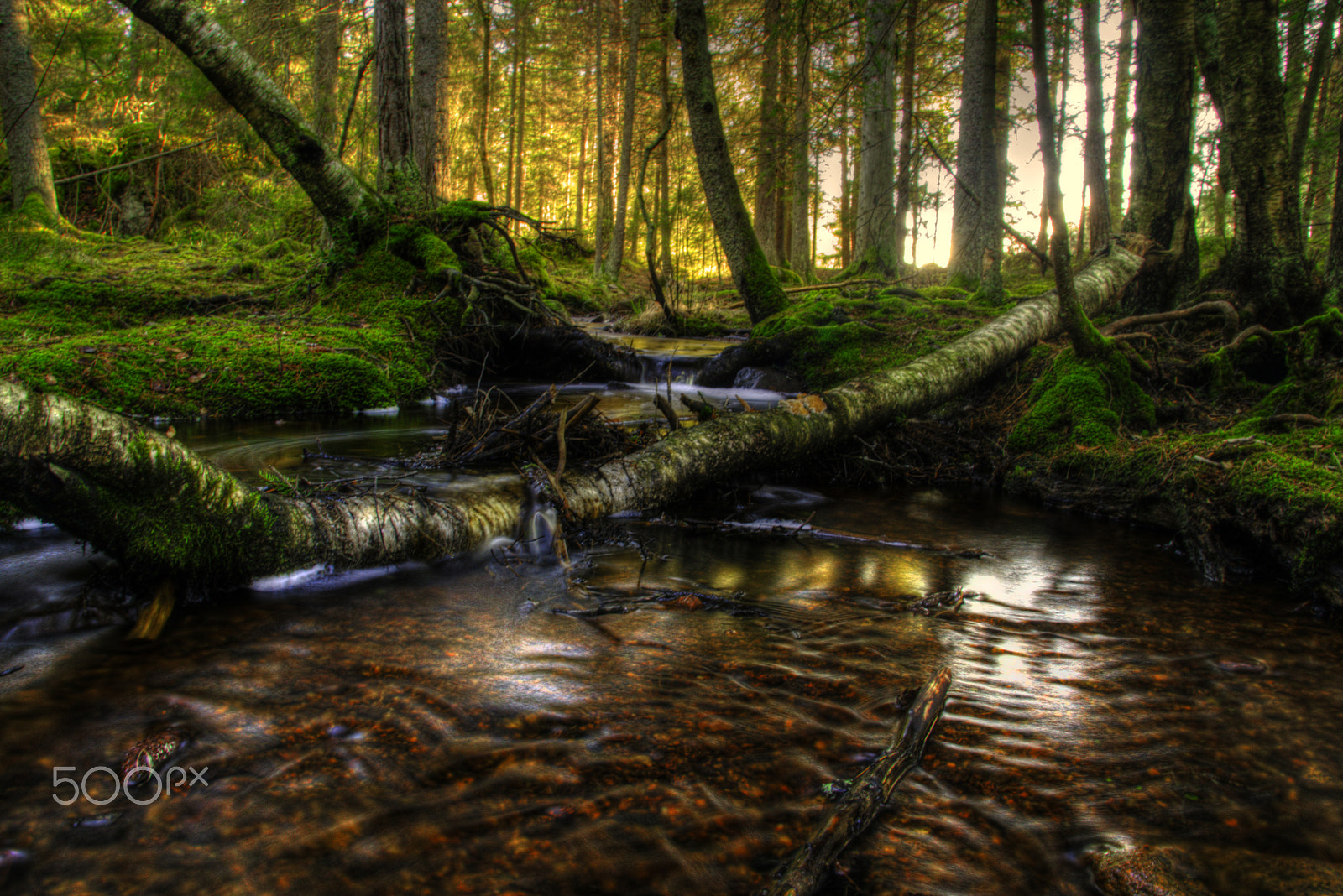 Sigma 18-200mm F3.5-6.3 DC OS HSM sample photo. Small water flow photography