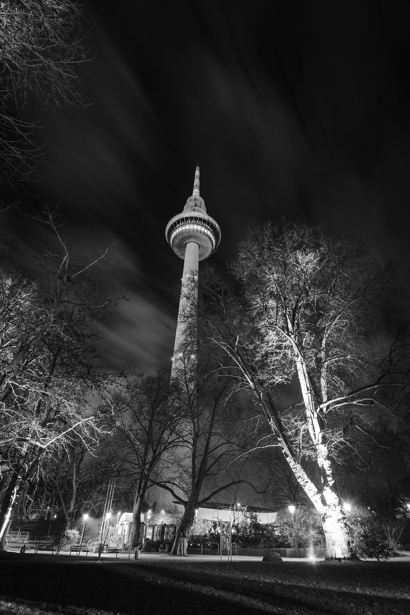 Tokina AT-X Pro 11-16mm F2.8 DX II sample photo. Tower photography