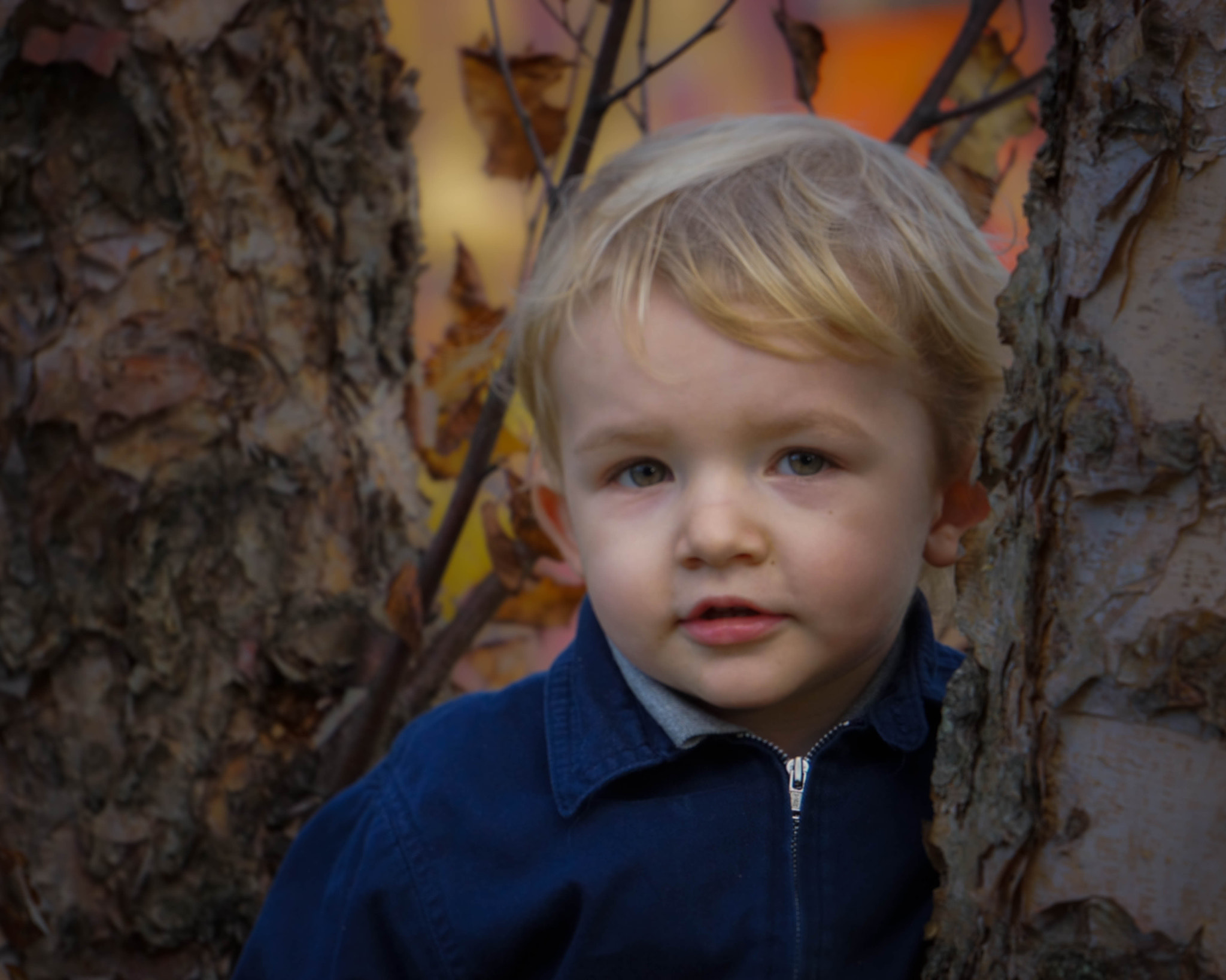 Sony Alpha NEX-7 + Sony E 55-210mm F4.5-6.3 OSS sample photo. Climbing  the tree photography