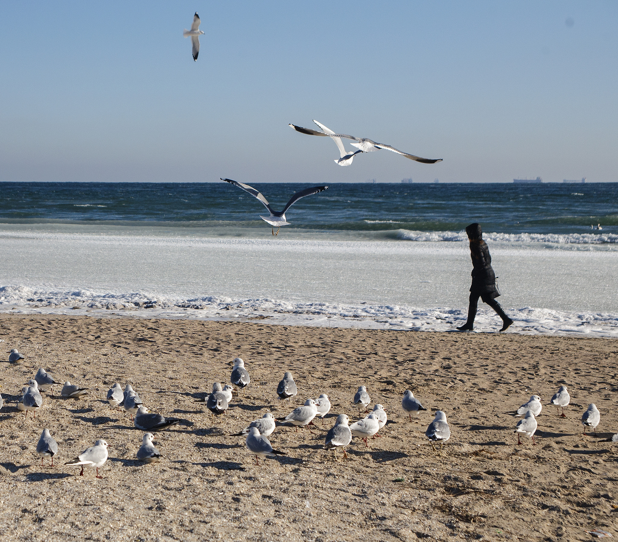 Canon EF 28-105mm f/3.5-4.5 USM sample photo