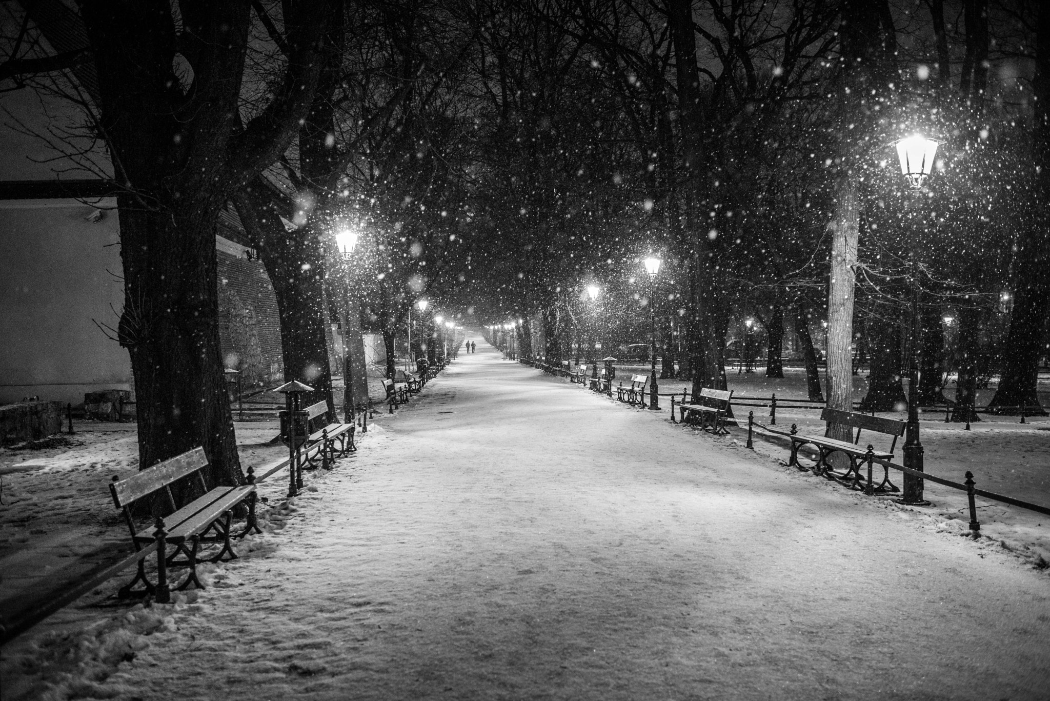 Nikon D750 + Nikon AF-S Nikkor 35mm F1.4G sample photo. Krakow park in snow storm photography