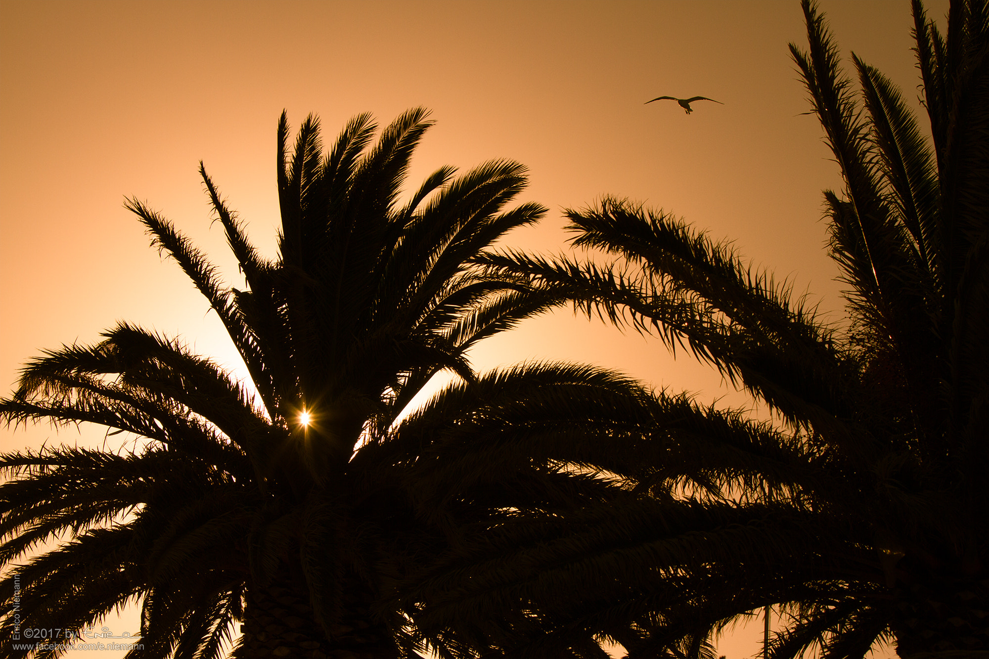 Canon EF 70-200mm F2.8L IS USM sample photo. Sunset photography