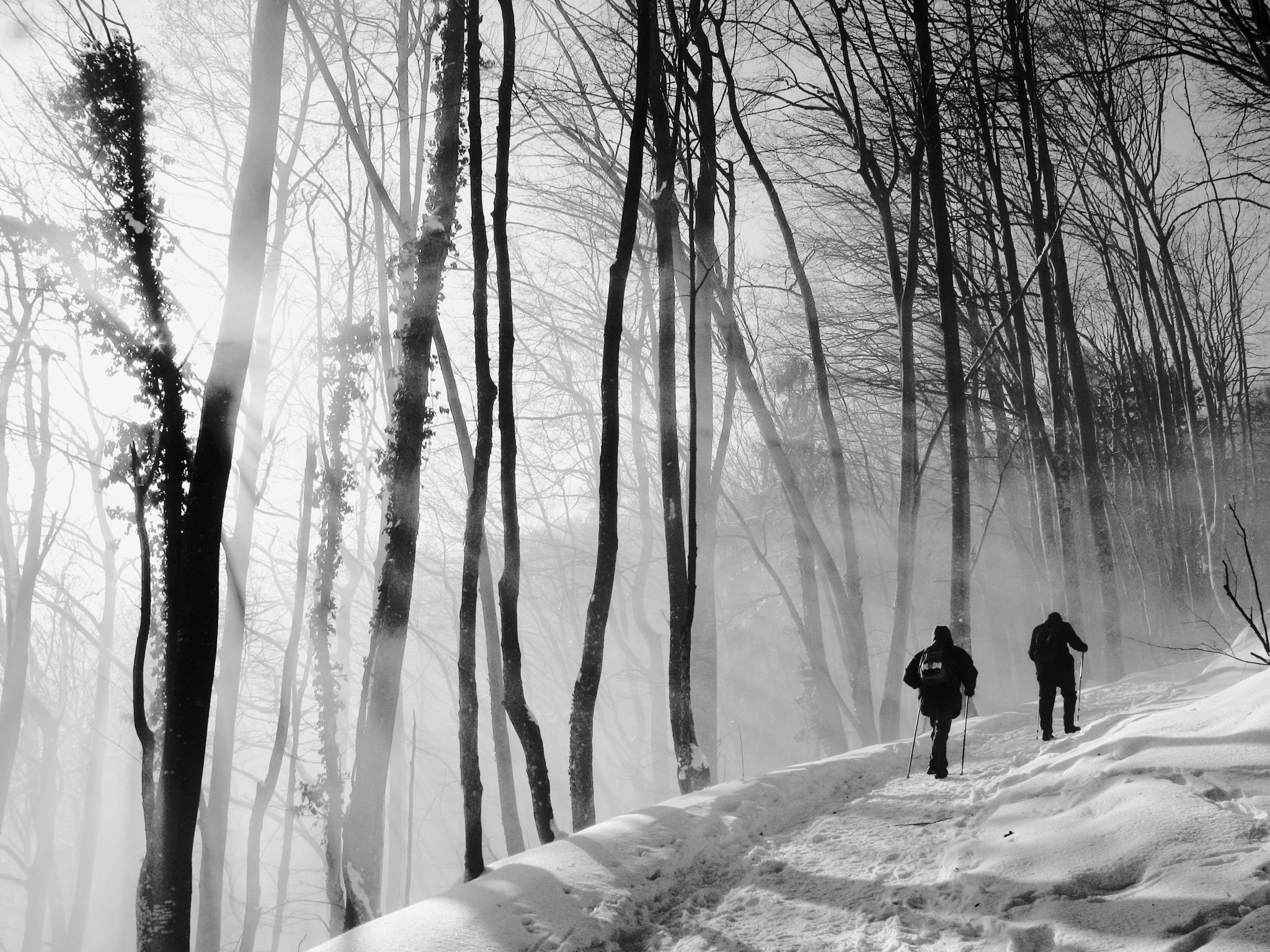 Canon POWERSHOT G7 sample photo. Hikers photography