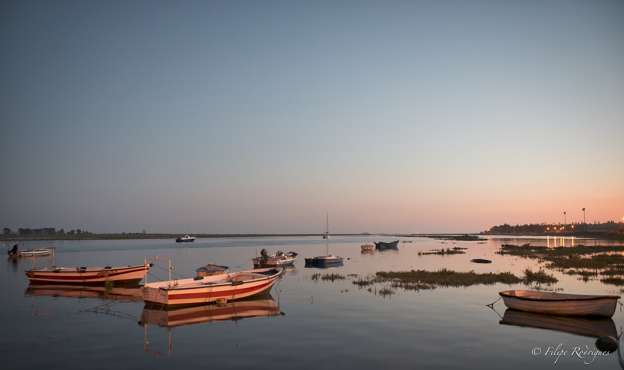 Nikon D800E + Nikon AF-S Nikkor 28-70mm F2.8 ED-IF sample photo. Coastal marshes photography