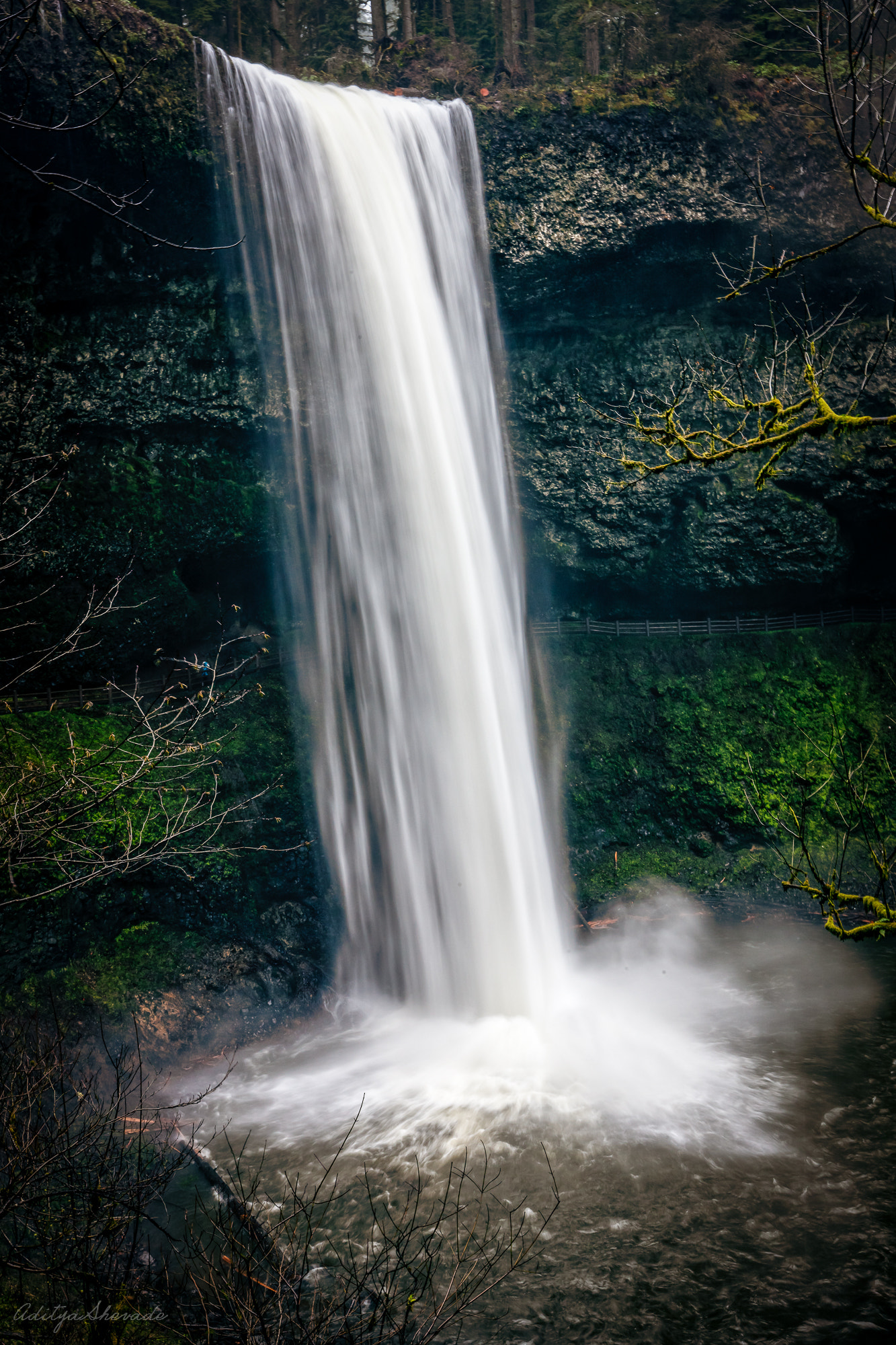 Canon EOS-1Ds Mark III sample photo. The plunge photography