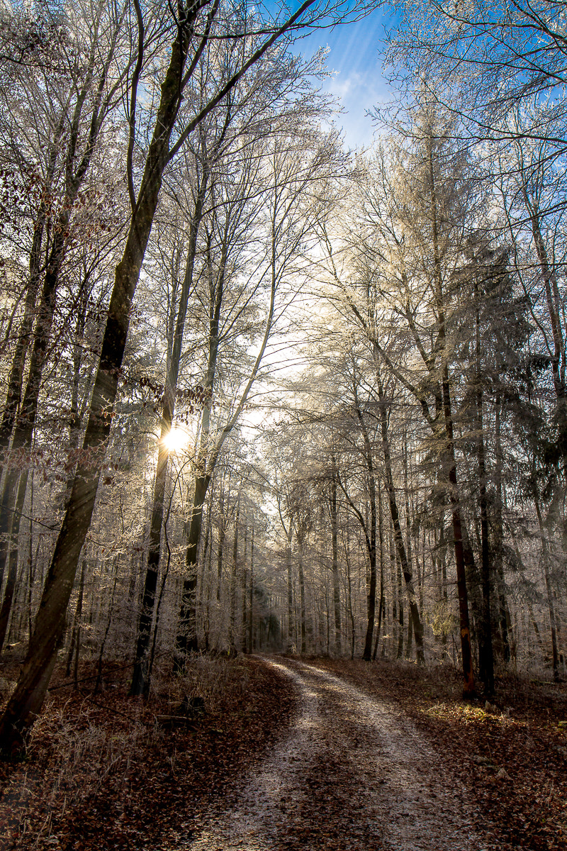 Canon EF 16-35mm F4L IS USM sample photo. ... a winterway near ilm #2 photography