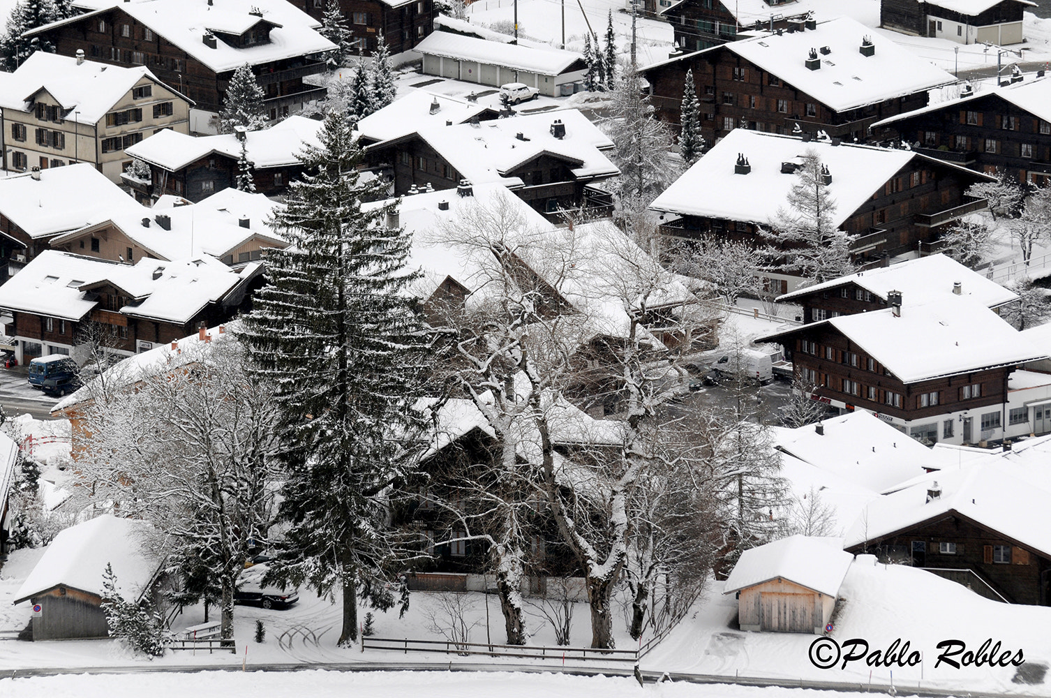 Nikon D300 + Sigma 70-300mm F4-5.6 DG OS sample photo. Alps photography