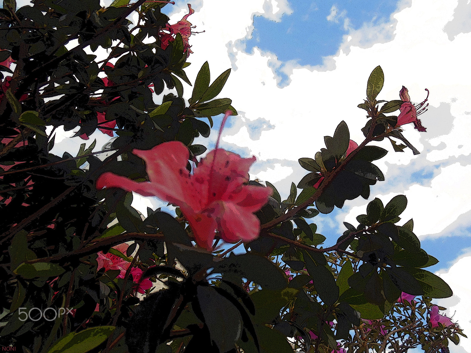 Nikon Coolpix S6300 sample photo. Cli photography