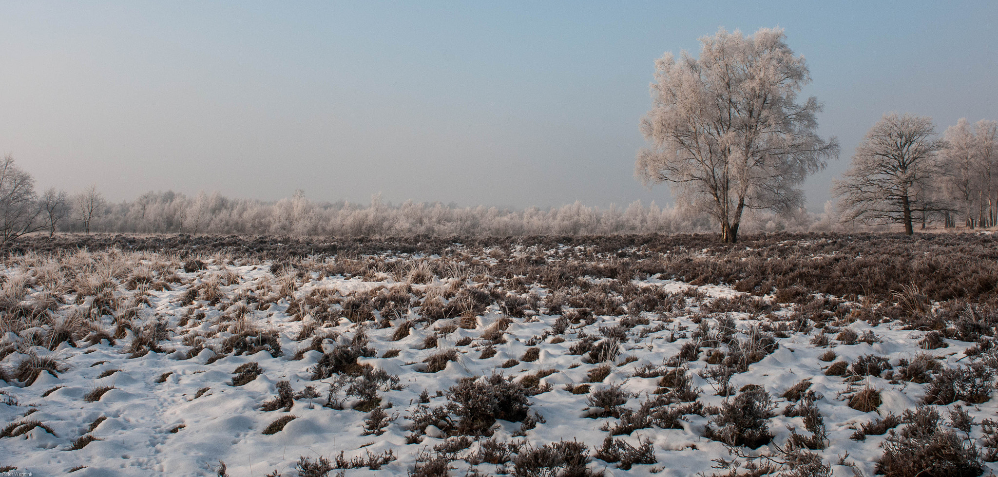 Nikon D300S + Nikon AF Nikkor 24mm F2.8D sample photo. Frozen world photography