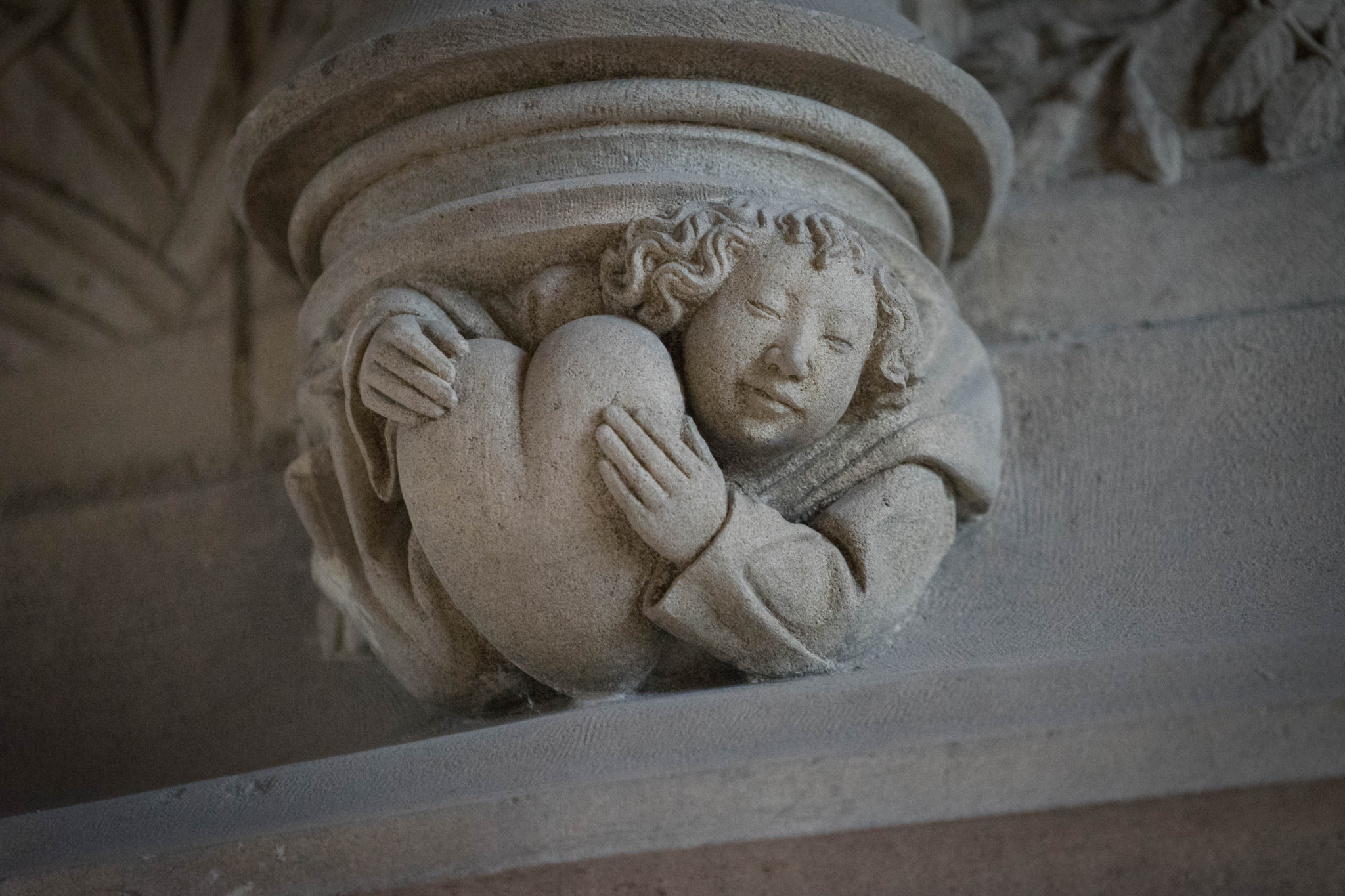 Sony a7 + Sony FE 70-200mm F4 G OSS sample photo. Cœur photography
