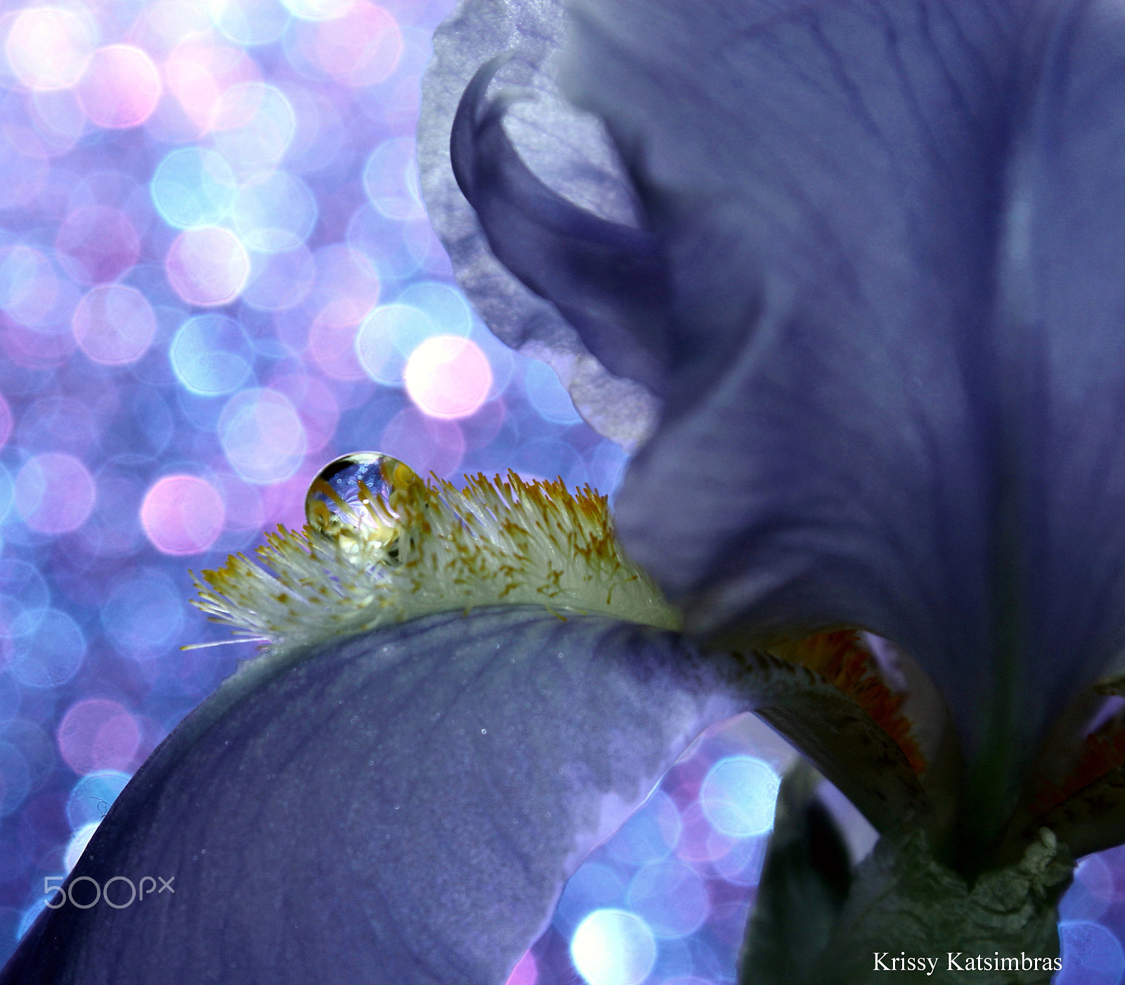 Canon EF-S 18-55mm F3.5-5.6 IS II sample photo. Crystal ball photography