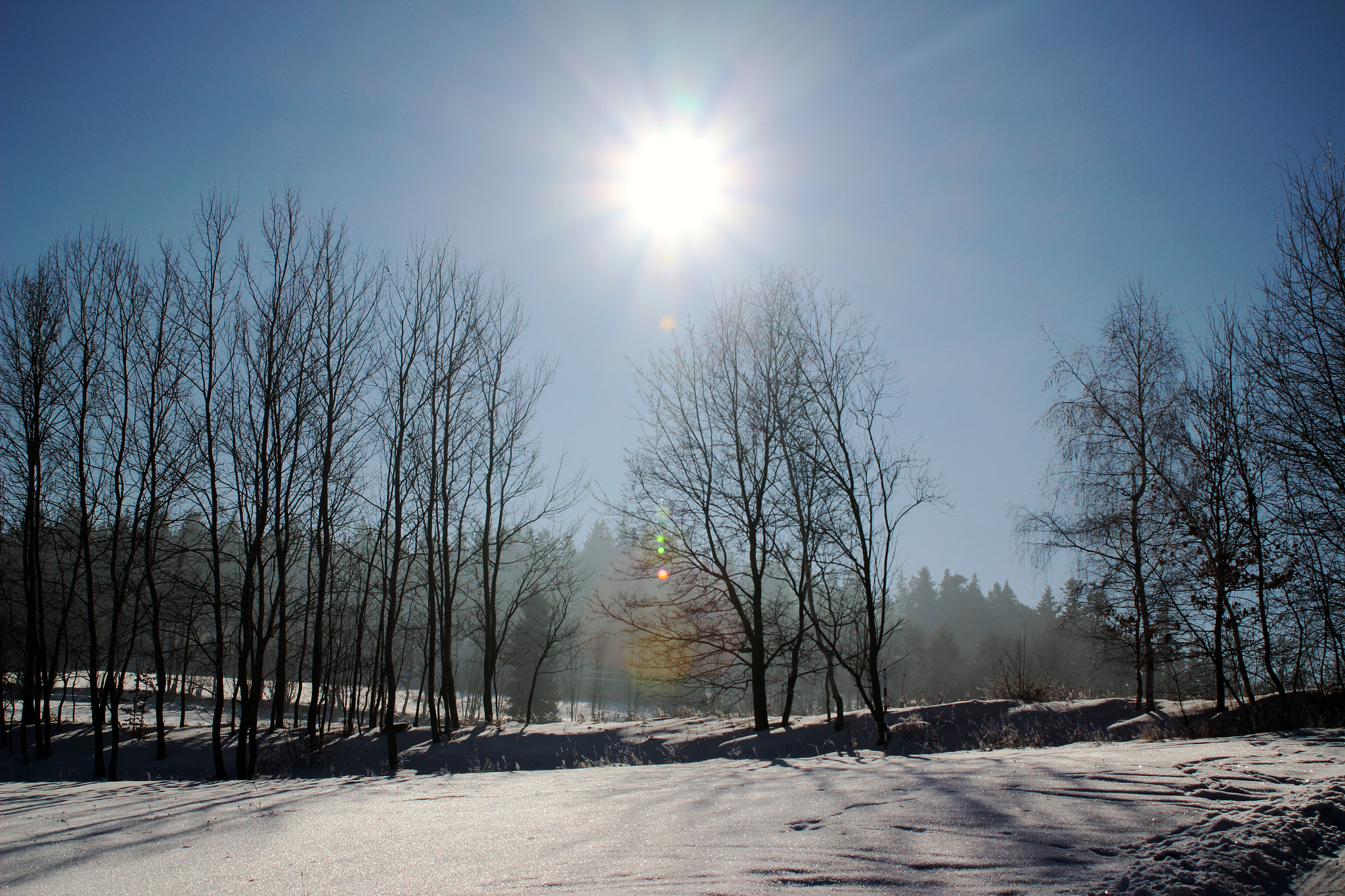 Canon EF 28-80mm f/3.5-5.6 USM sample photo. Sunny day photography