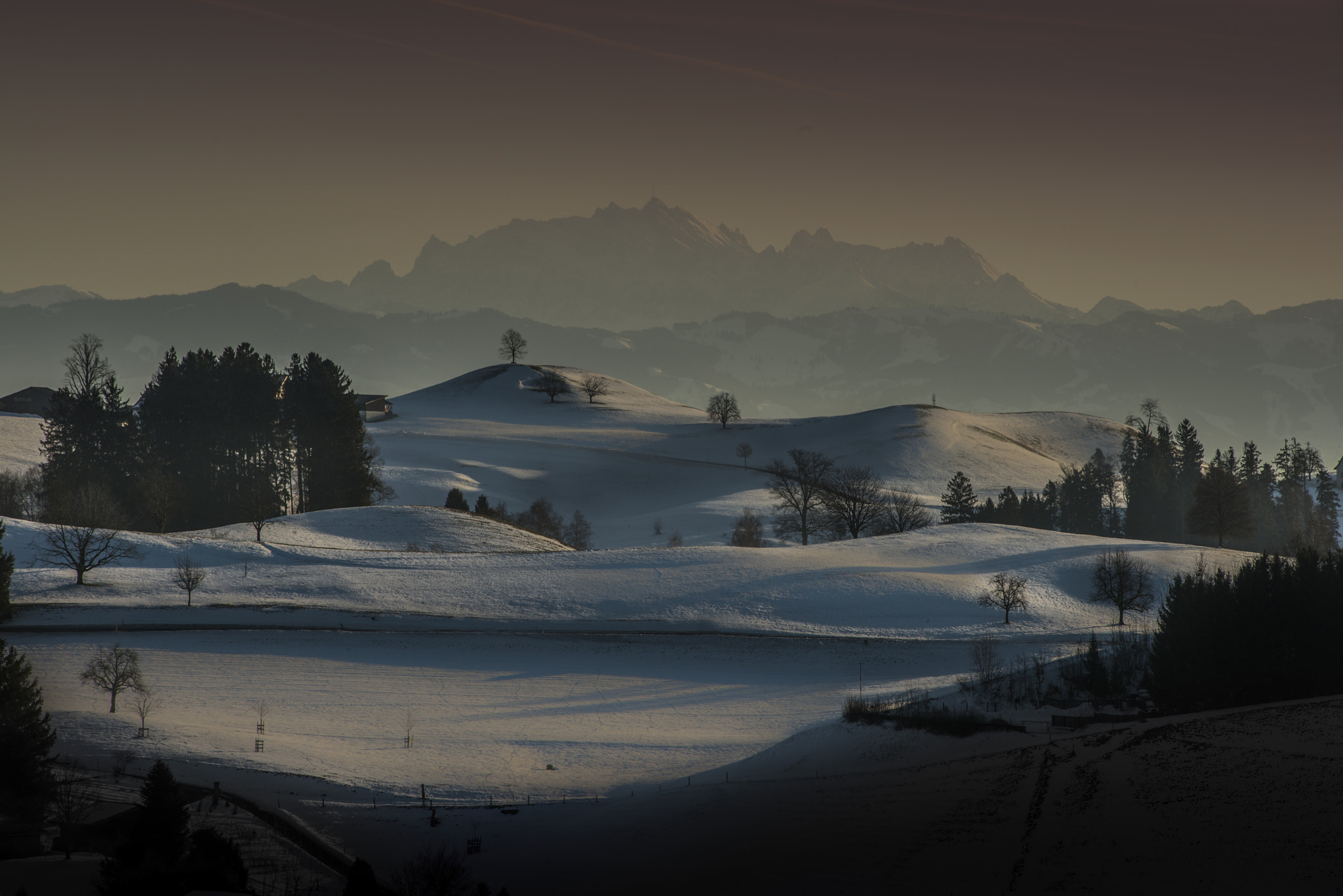 Nikon AF-Nikkor 80-200mm F2.8D ED sample photo. Hirzel photography