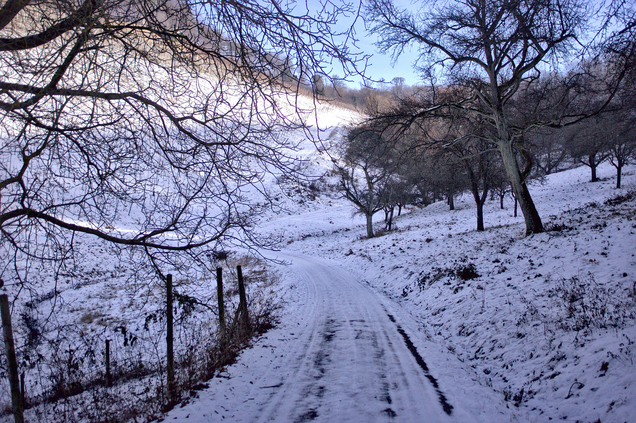 Canon EF 35-80mm f/4-5.6 sample photo. Winter time photography