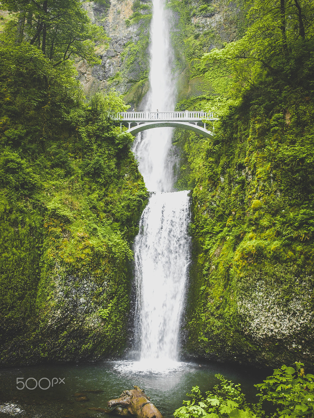 Olympus E-520 (EVOLT E-520) + OLYMPUS 14-42mm Lens sample photo. Multnomah falls, or photography