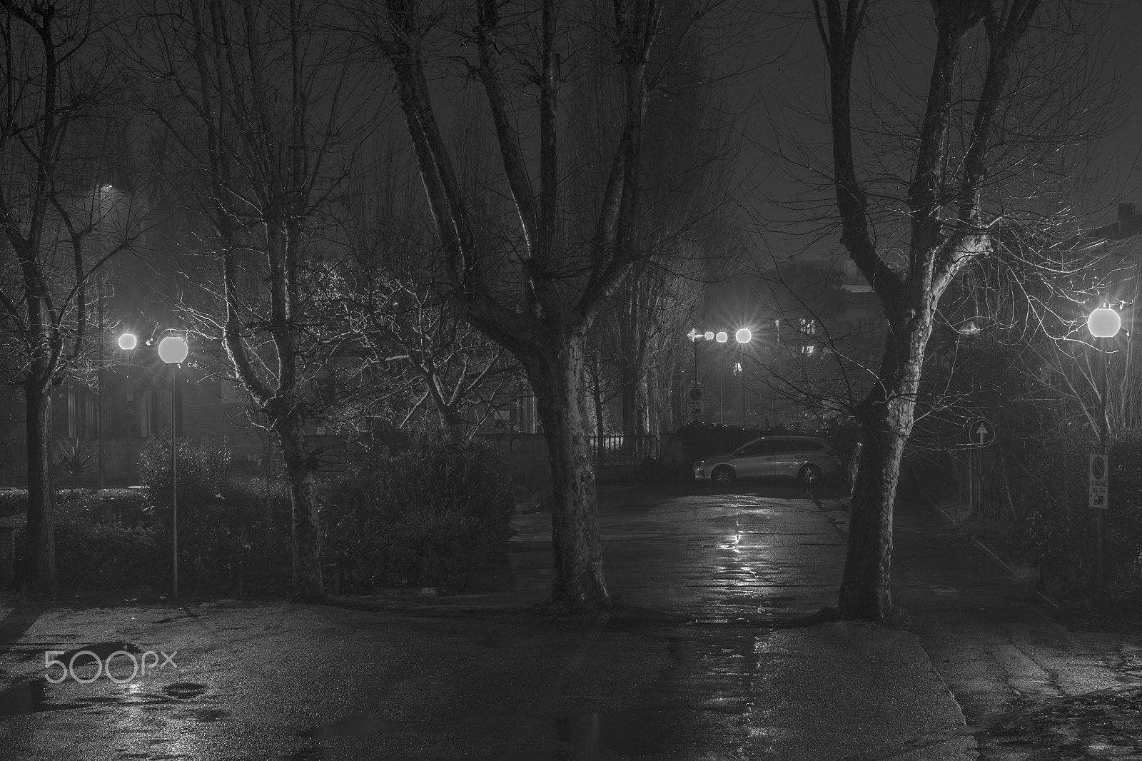 Nikon D3100 + Nikon AF-S Nikkor 50mm F1.4G sample photo. A midwinter night's dream photography