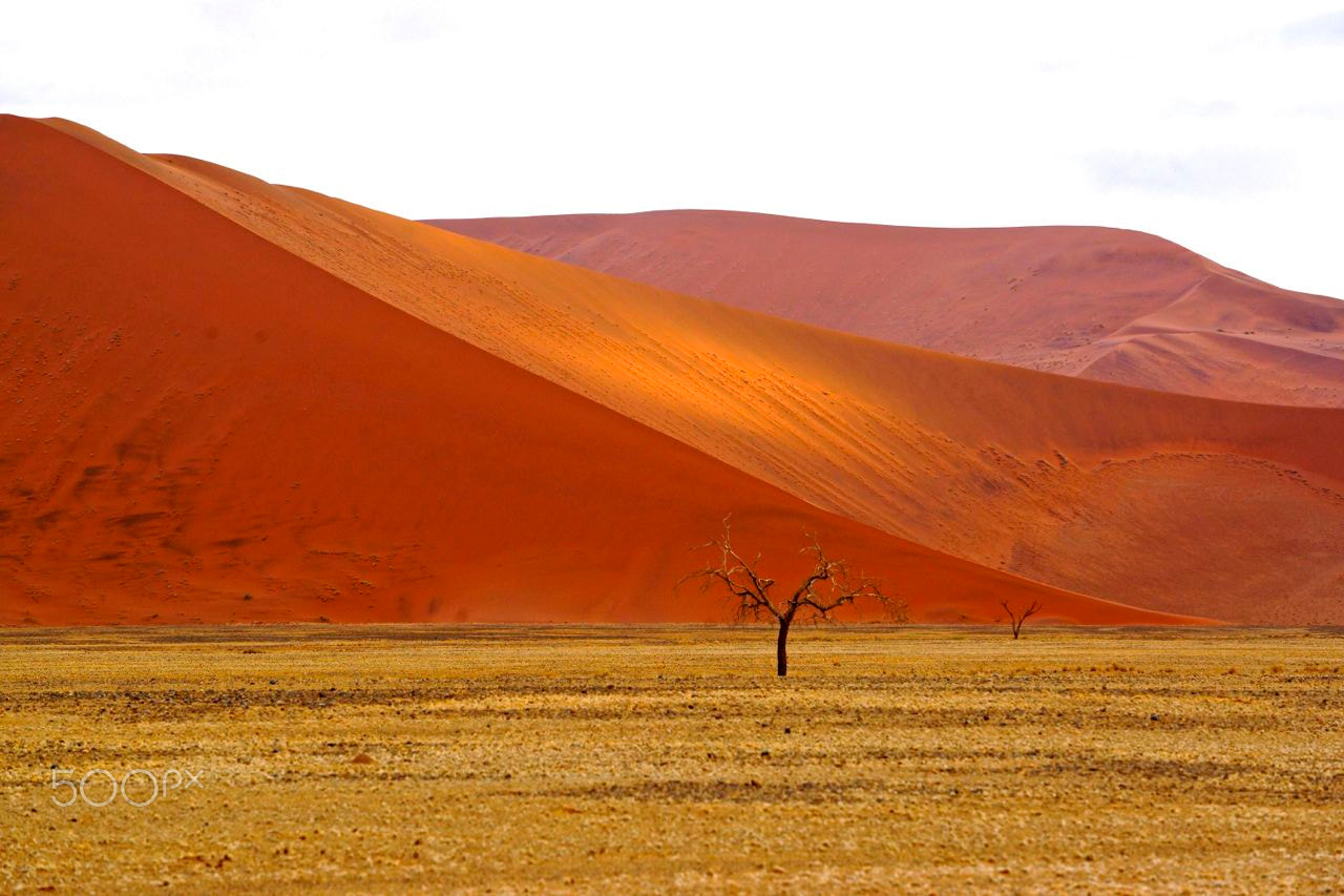 Sony a99 II sample photo. Red dune in the namib desert photography