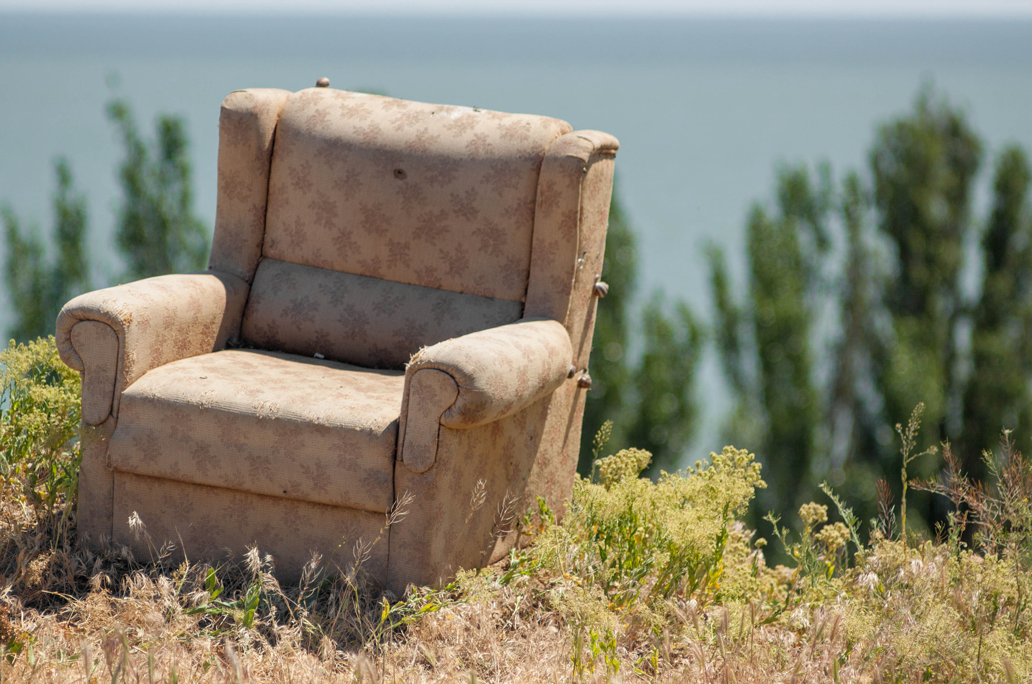 Canon EF 35-80mm f/4-5.6 sample photo. Img photography