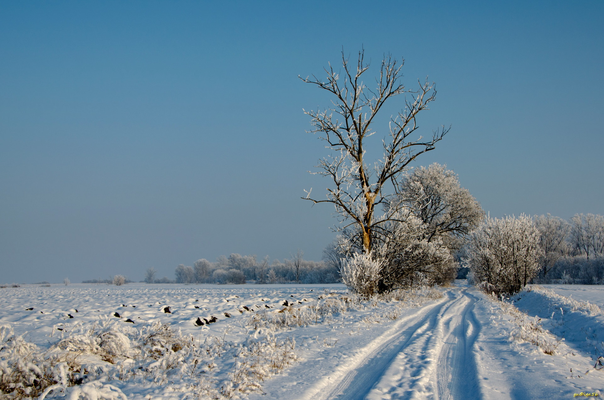 Nikon D5100 + Sigma 18-250mm F3.5-6.3 DC OS HSM sample photo. Winter landscap photography