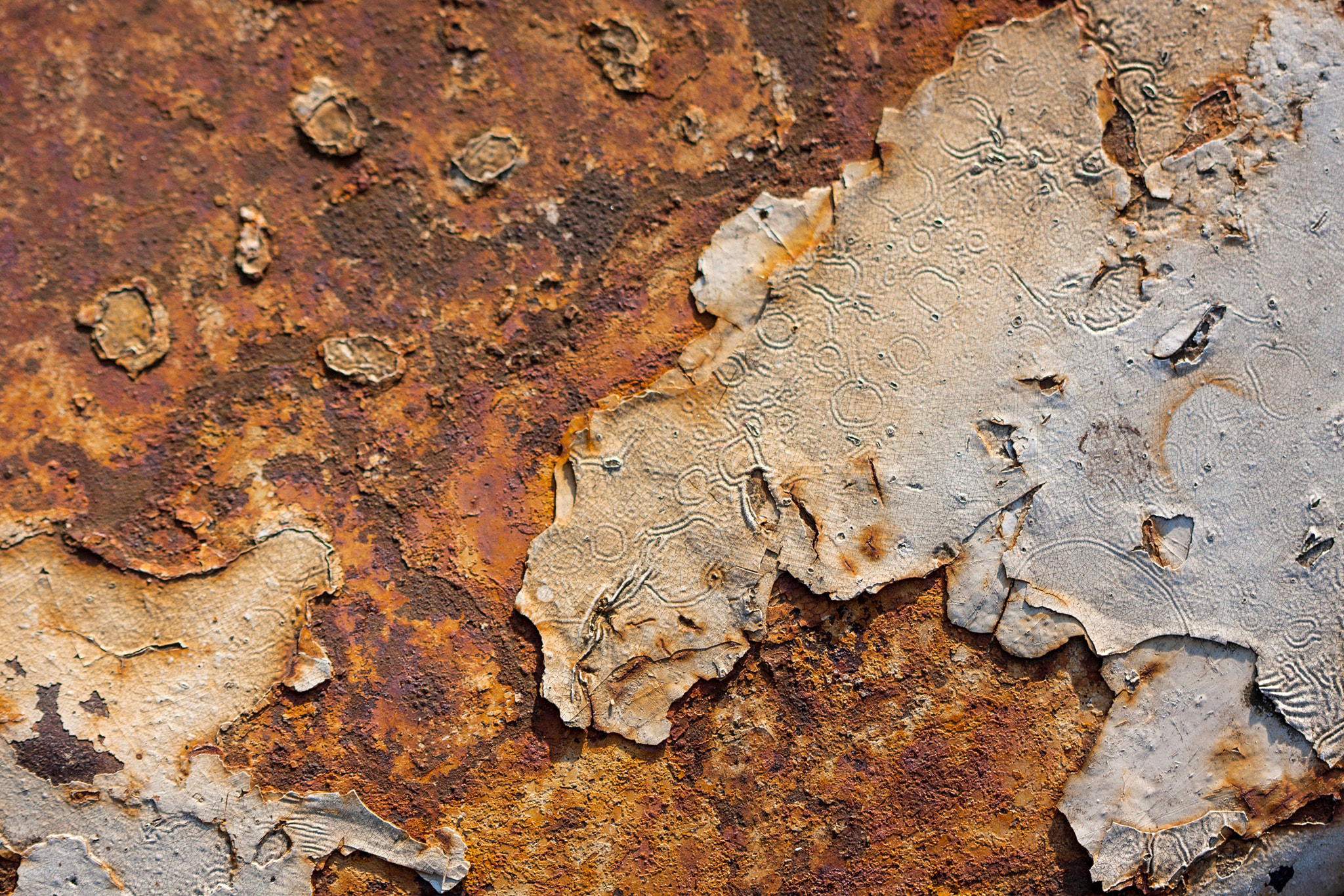 Canon EF 100mm F2.8 Macro USM sample photo. Civilisations perdues (lost civilizations) photography