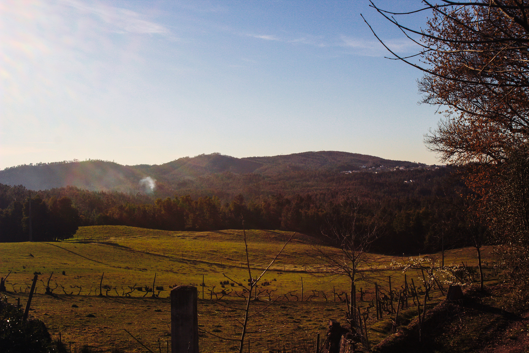 Canon EF 35-80mm f/4-5.6 sample photo. Farm photography