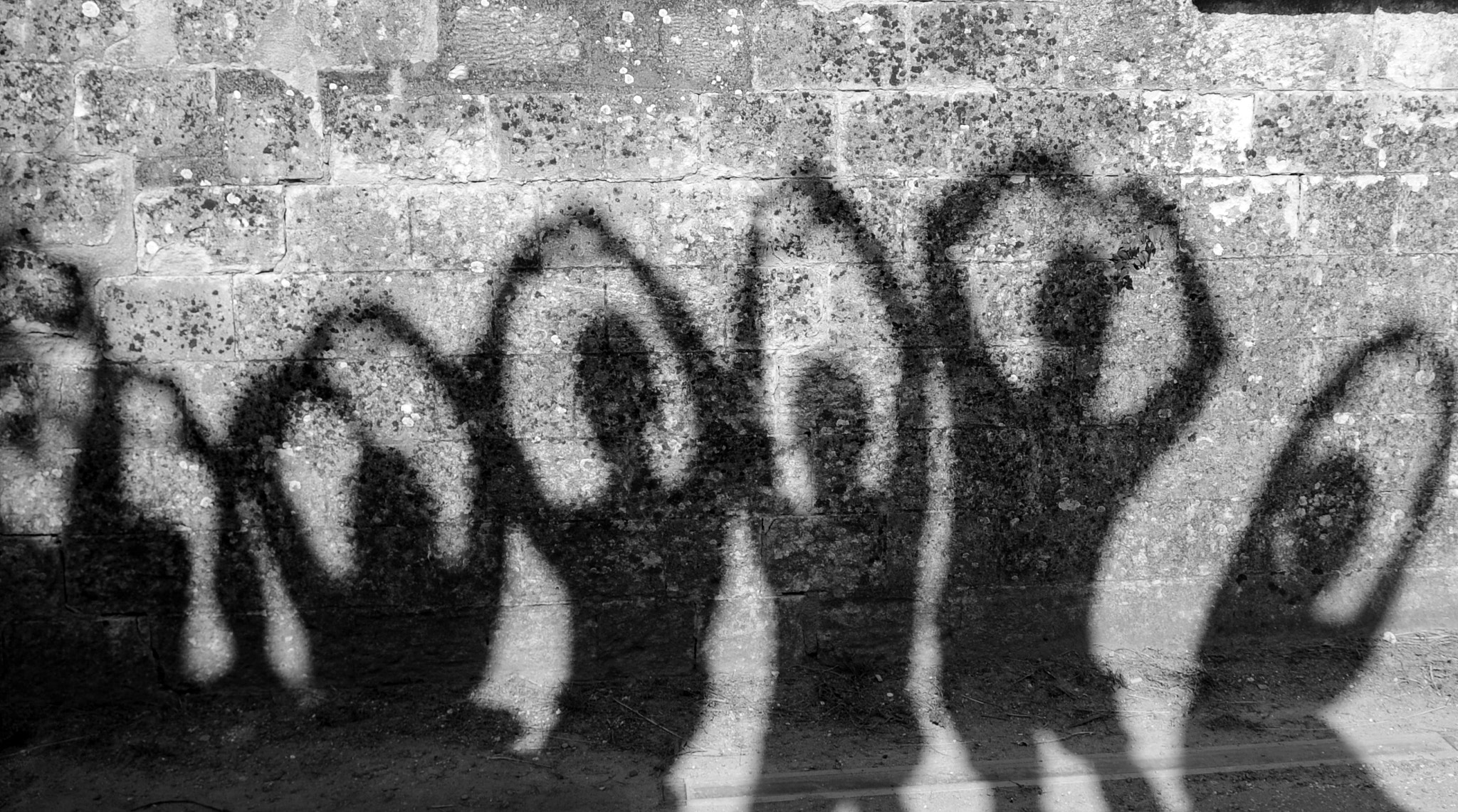 Nikon D3S sample photo. Shadows photography