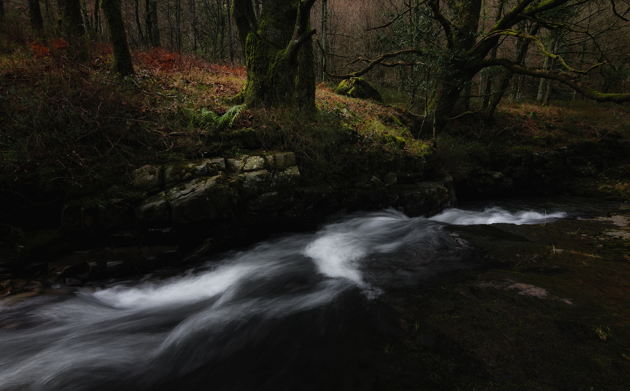 Nikon D300S sample photo. Venas pasiegas. photography