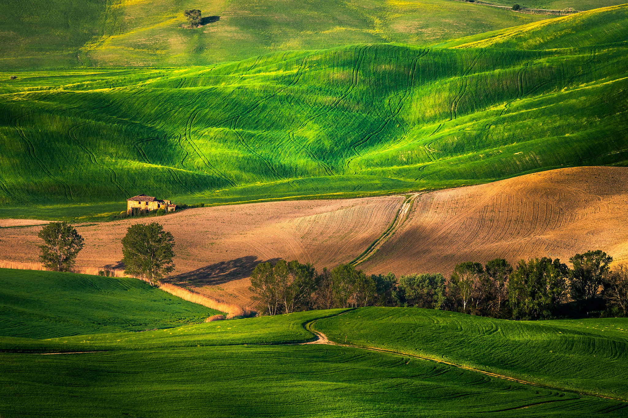 Canon EF 70-200mm F4L IS USM sample photo. Spring fields photography