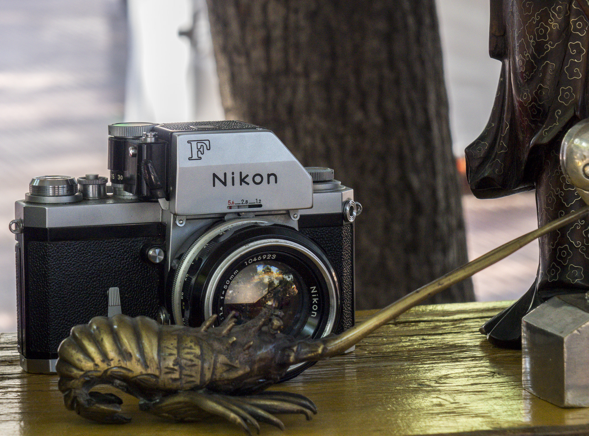 24-200mm F2.8 sample photo. Nikon f photography
