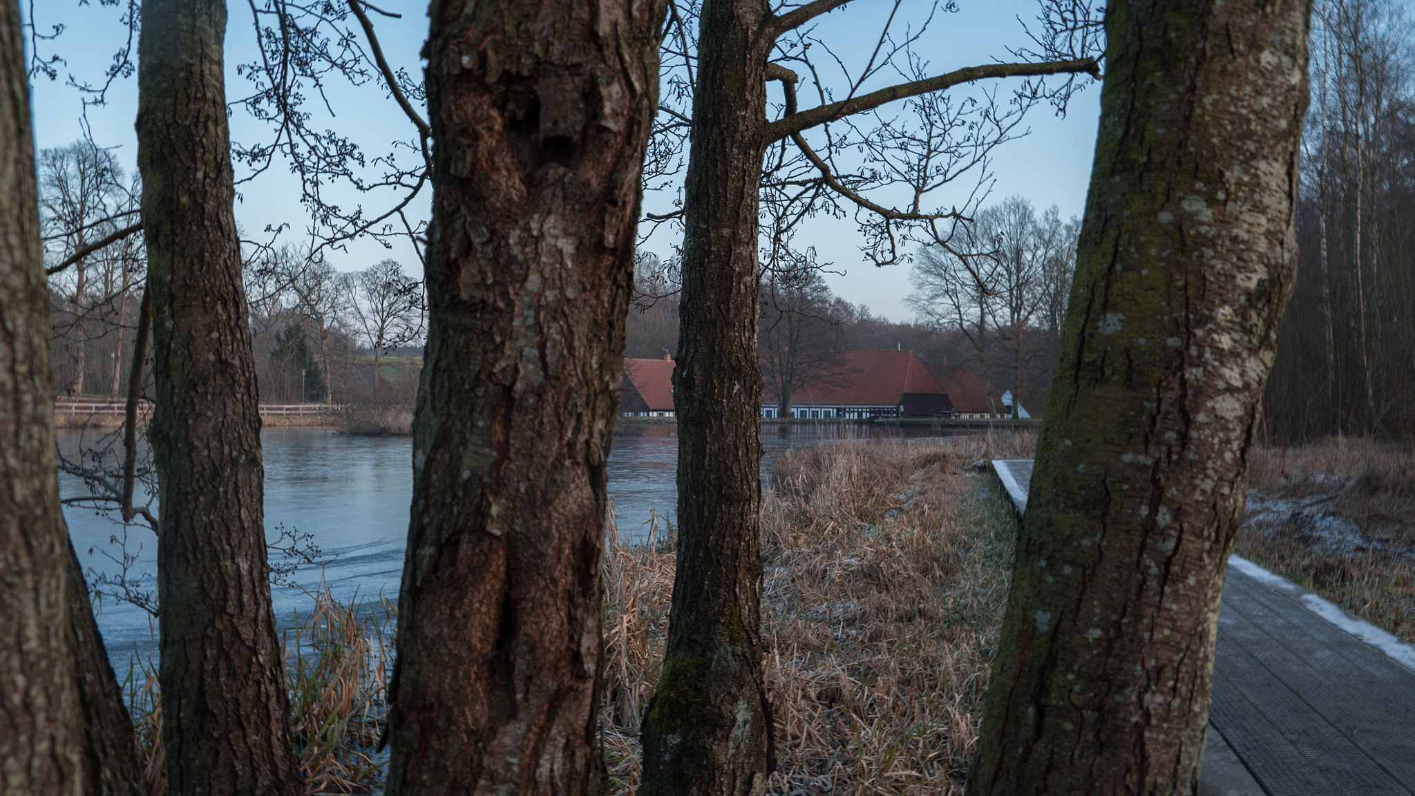 Sony a7S II + Sony FE 24-240mm F3.5-6.3 OSS sample photo. Mill behind the trees photography